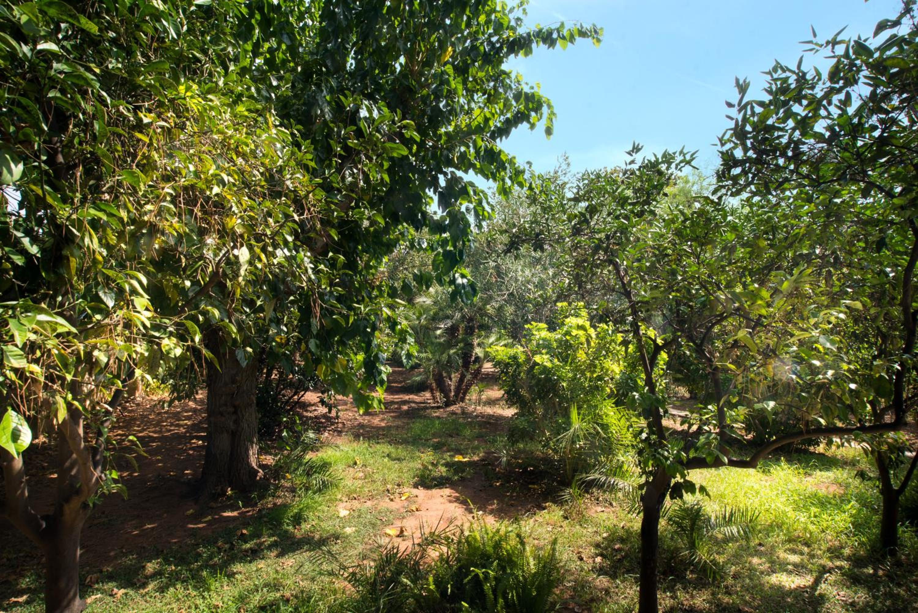 Villa with Garden View photo 2