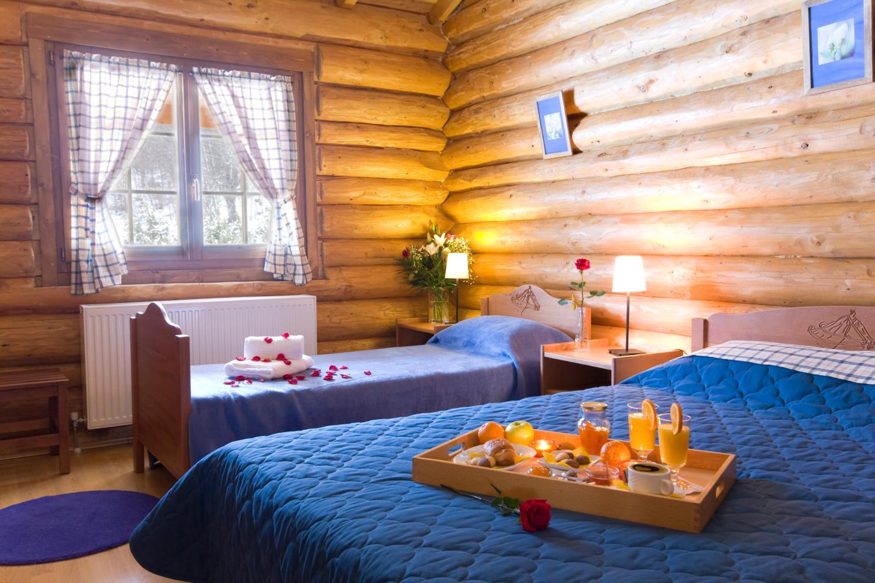 Chalet with fireplace photo 1
