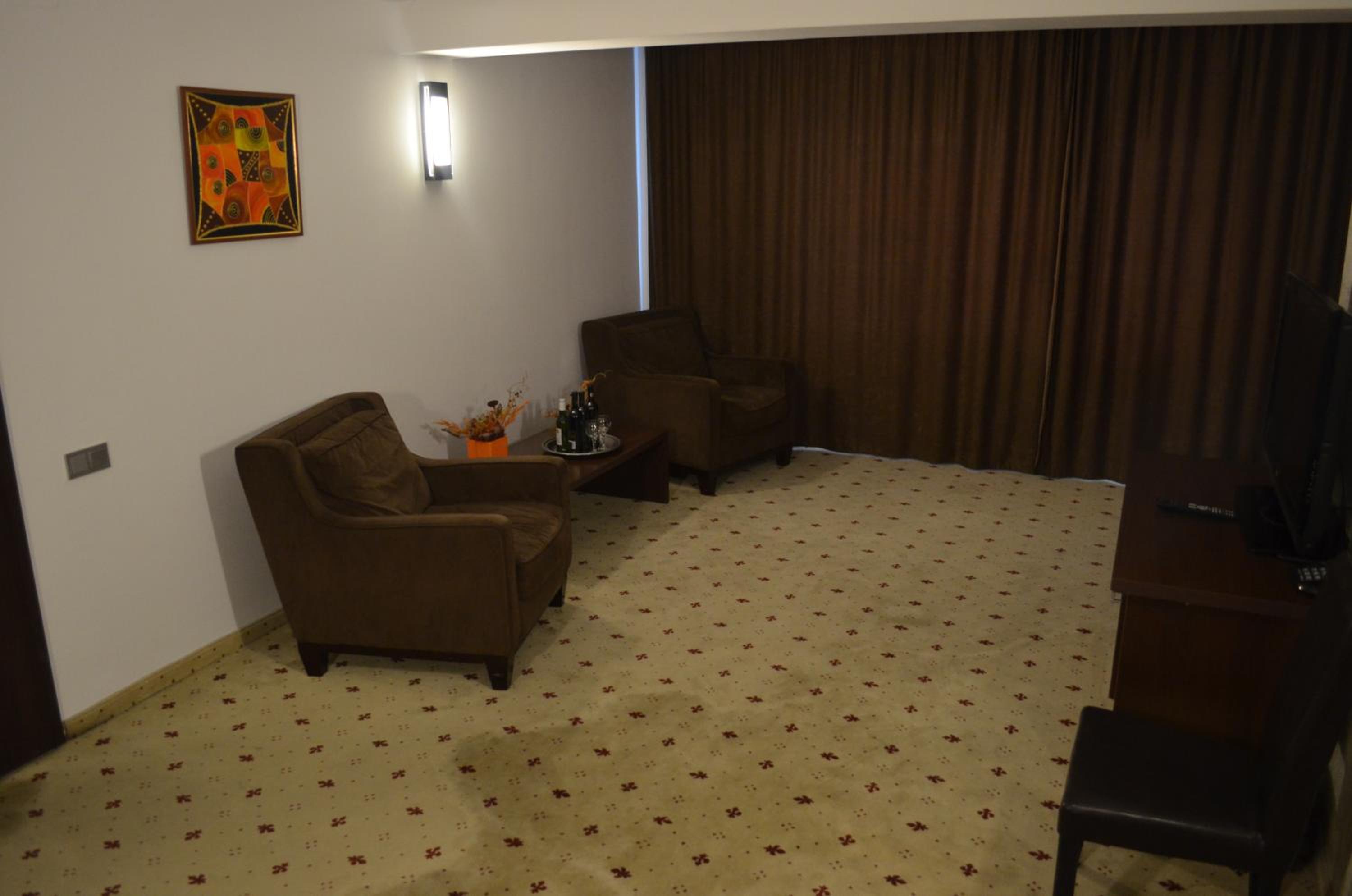 One-Bedroom Suite - Photo 7
