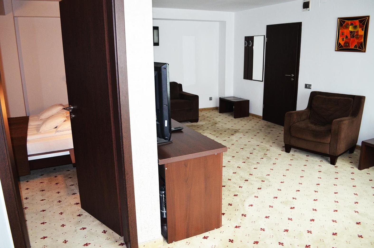 One-Bedroom Suite - Photo 9