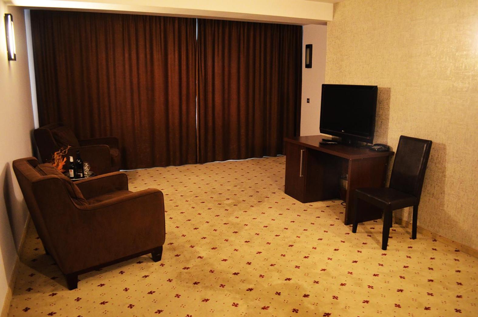 One-Bedroom Suite - Photo 4