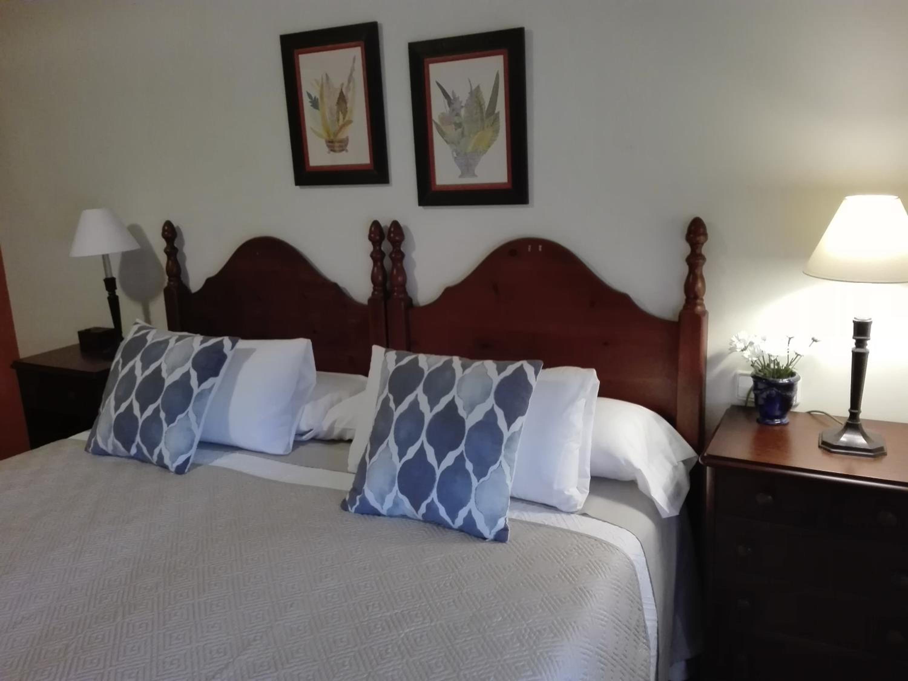 Habitación Doble o Twin con Vista al Jardín