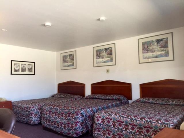 Standard Double Room with three beds photo 2