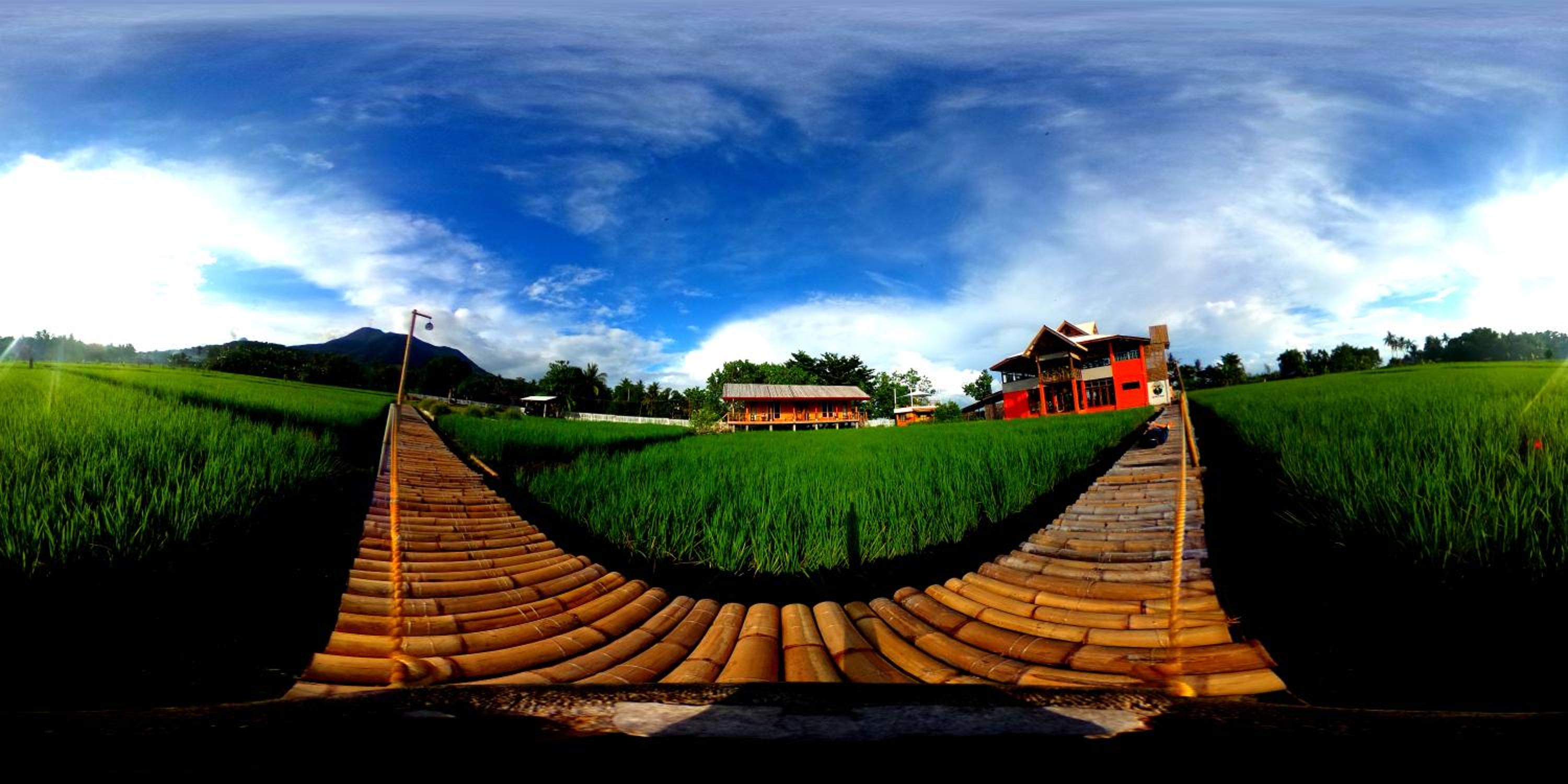 Villa - Photo 11
