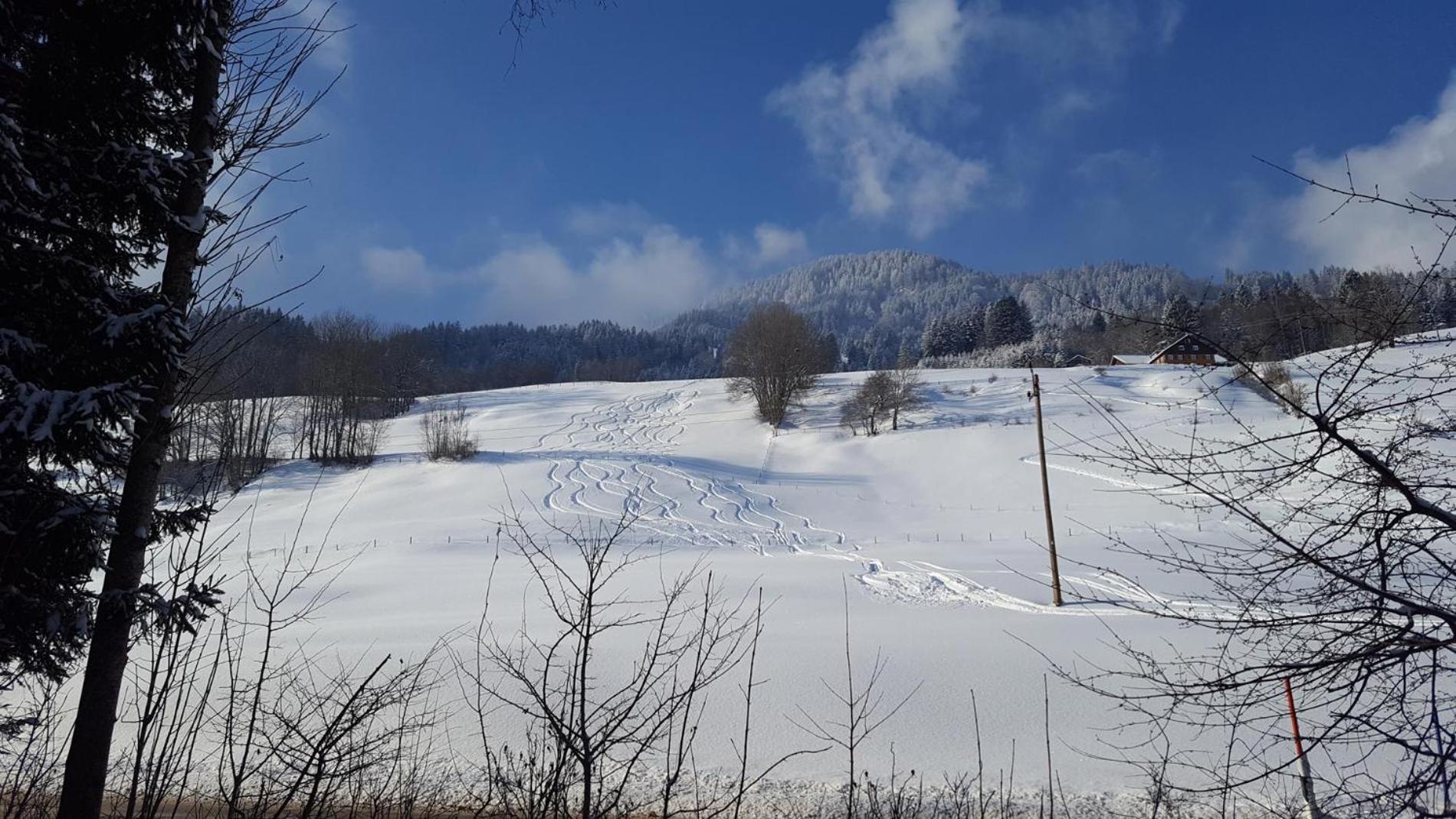 Premium Lodge photo 2