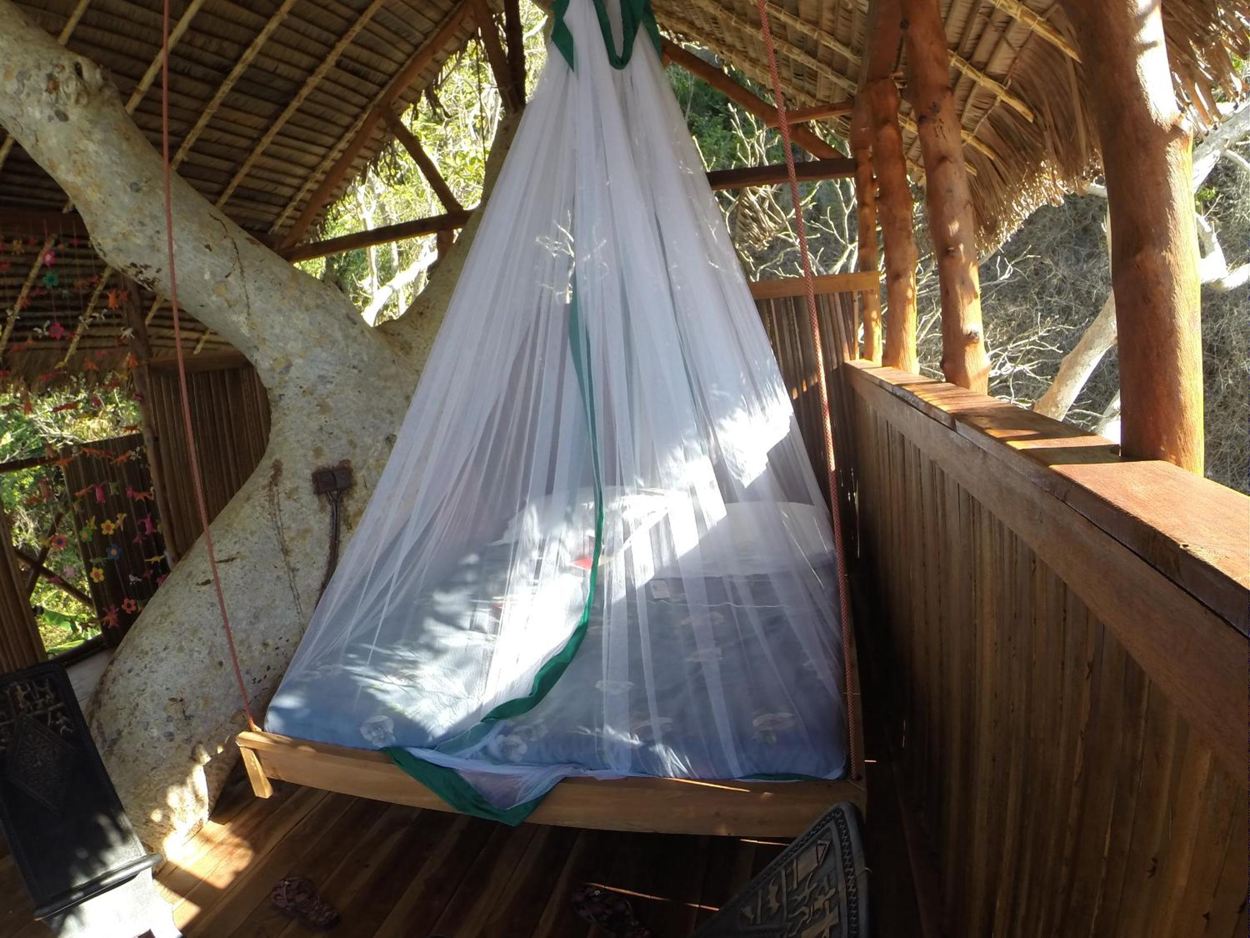 Tree House with Sea View photo 1