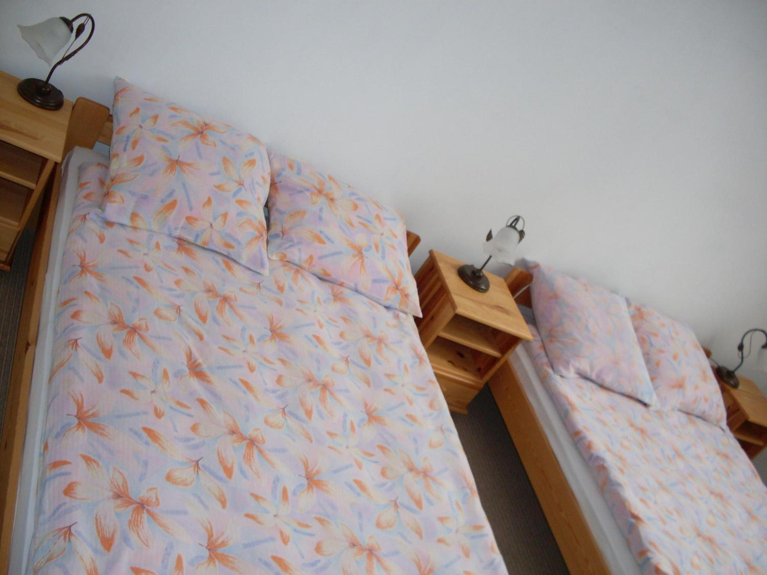 Twin Room photo 3