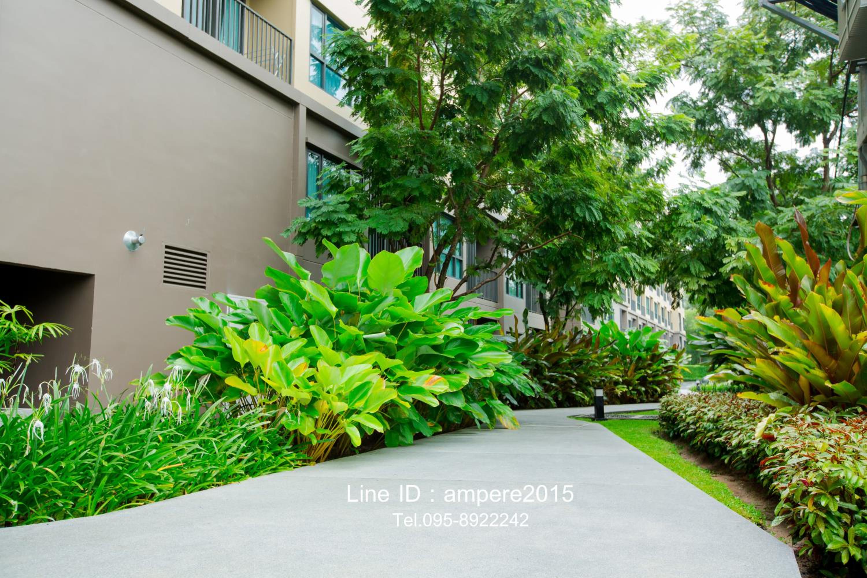 Apartment - Ground Floor photo 2