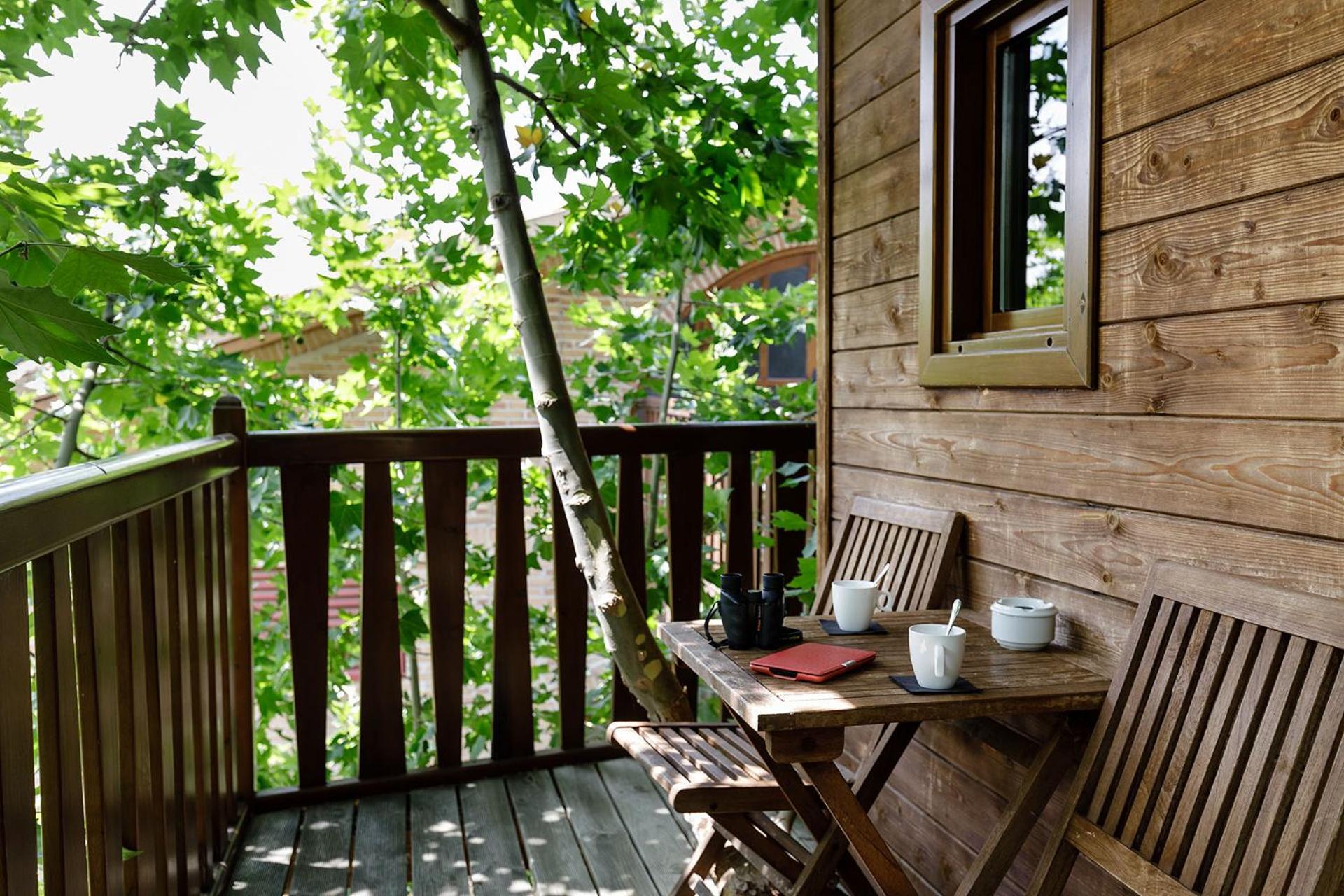 Double Room in a Tree photo 2