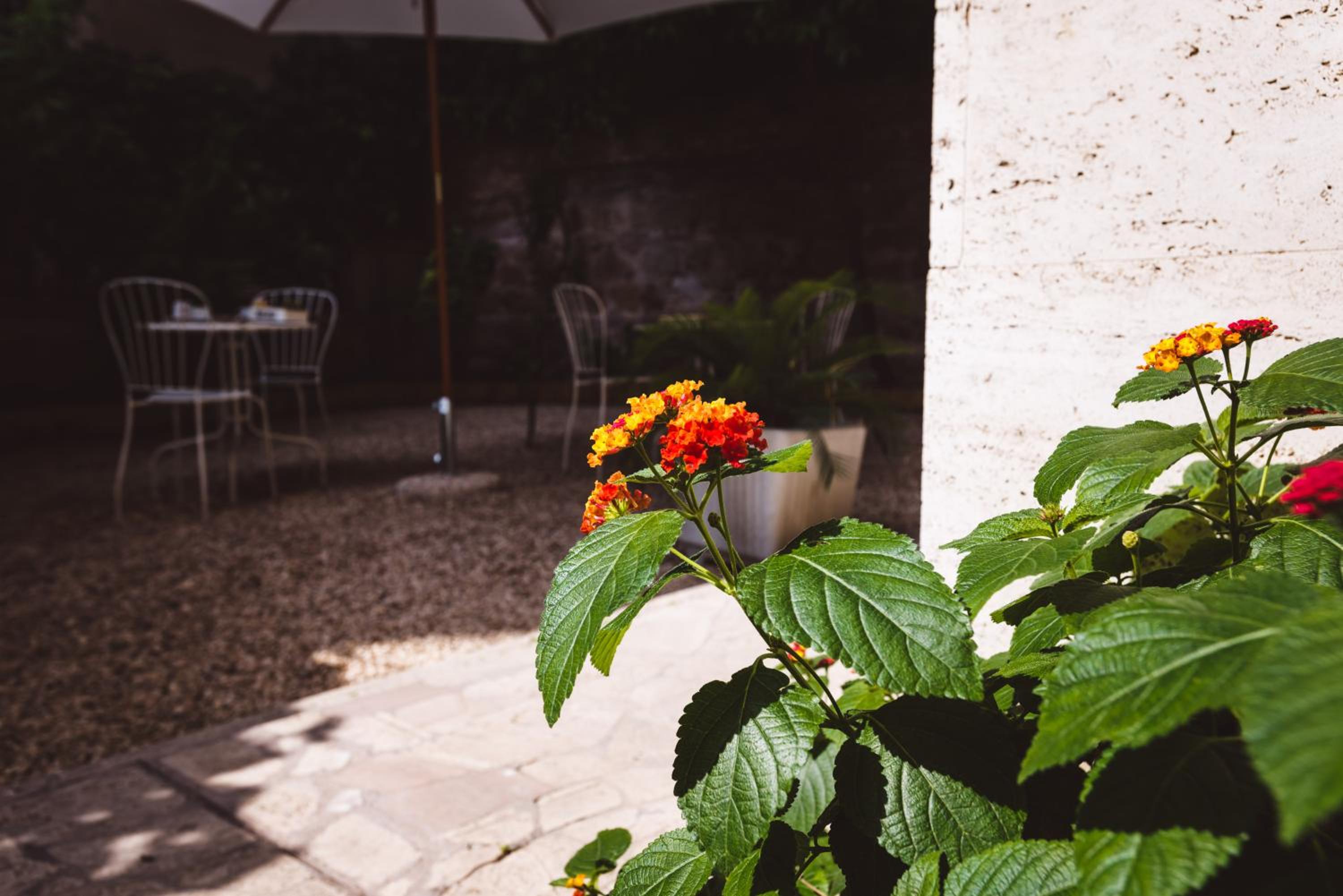 Double Room with Shared Garden photo 3
