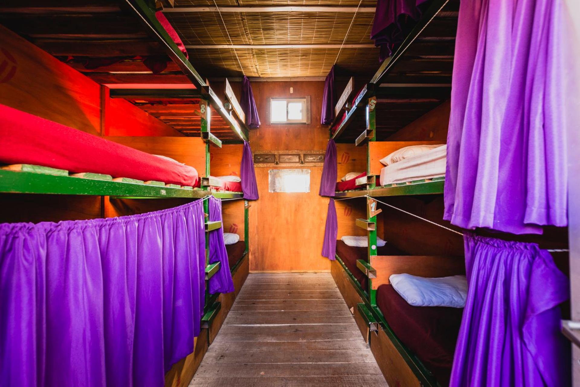 Bunk Bed in 12-Bed Female Dormitory Room