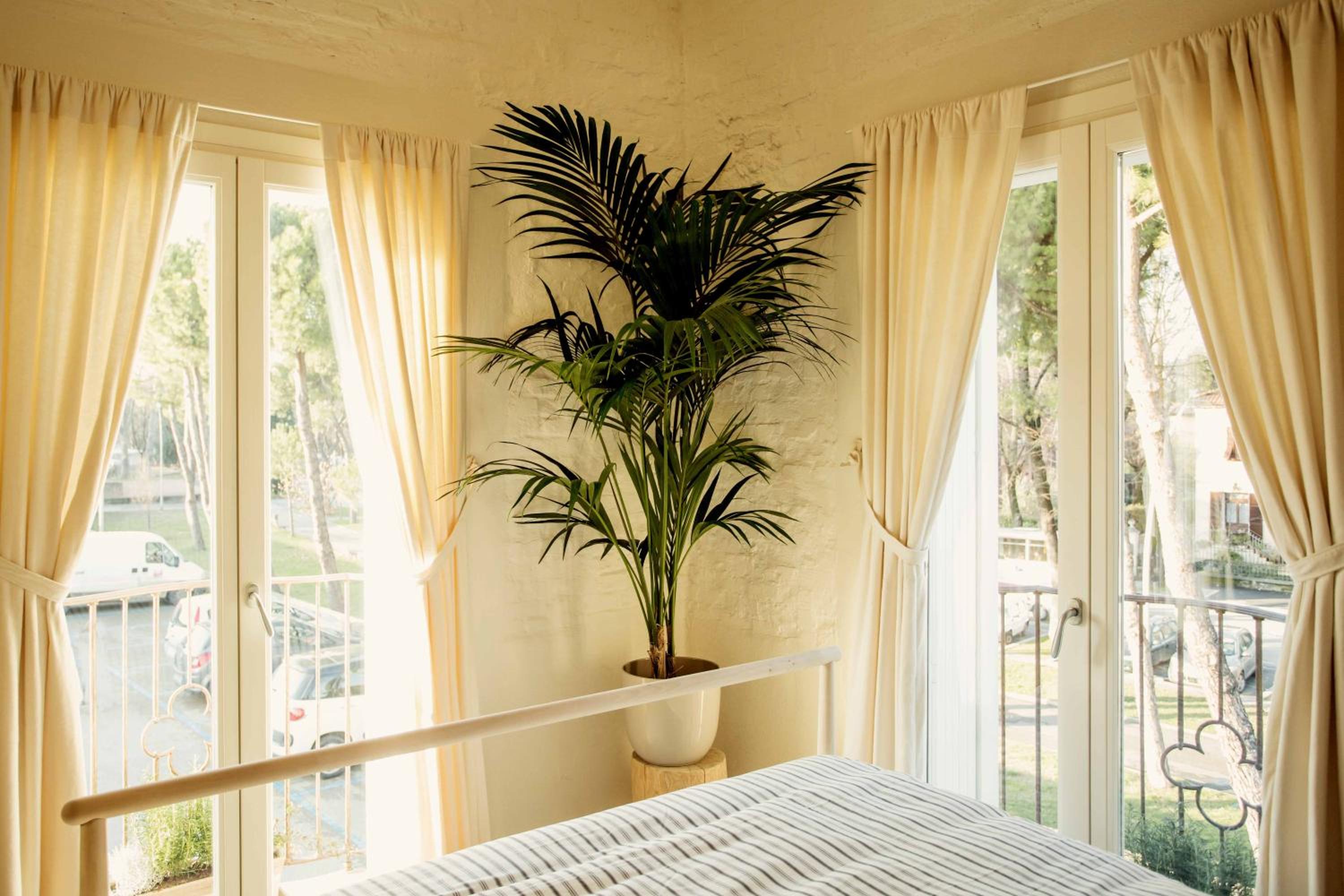 Deluxe Suite - Photo 2