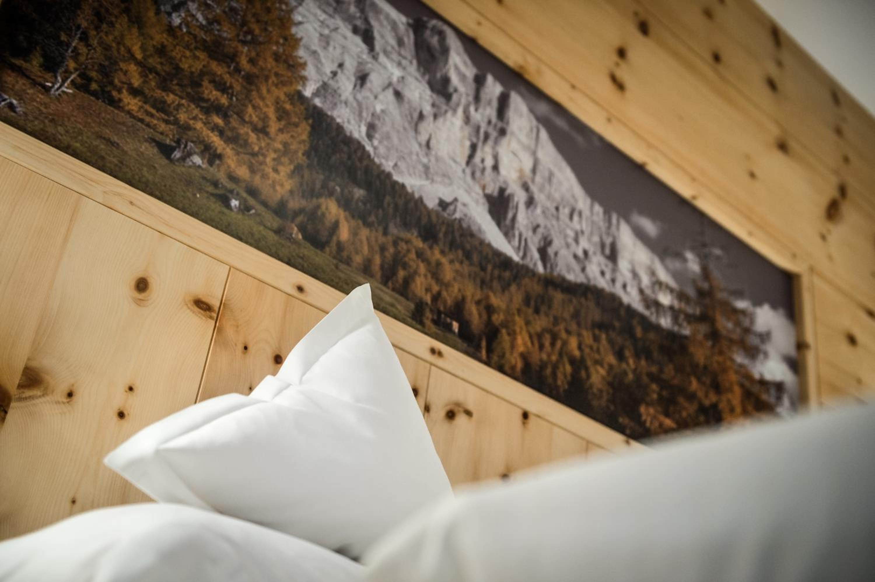 Standard Double or Twin Room photo 1
