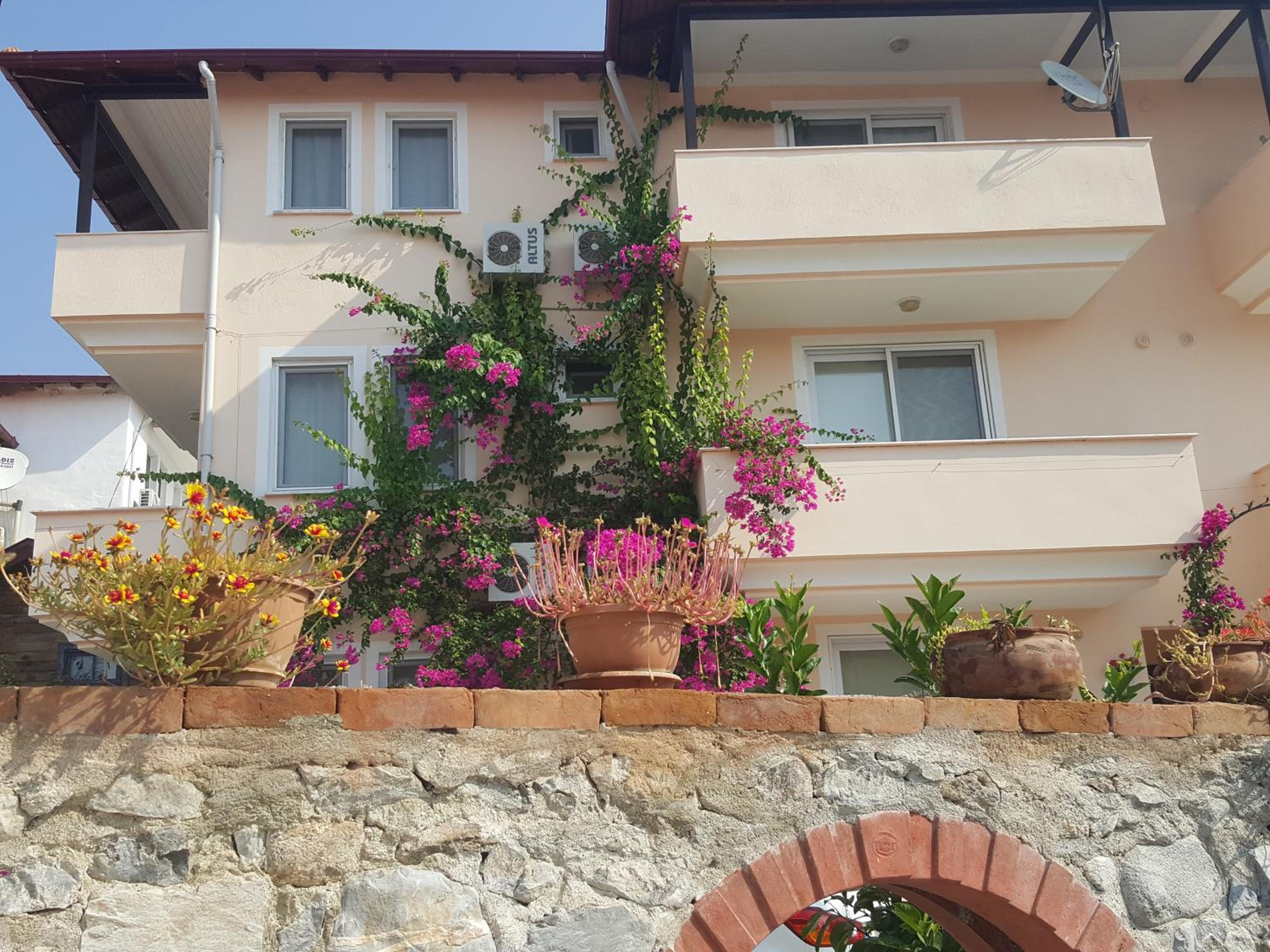 Apartment With Mountain View photo 3