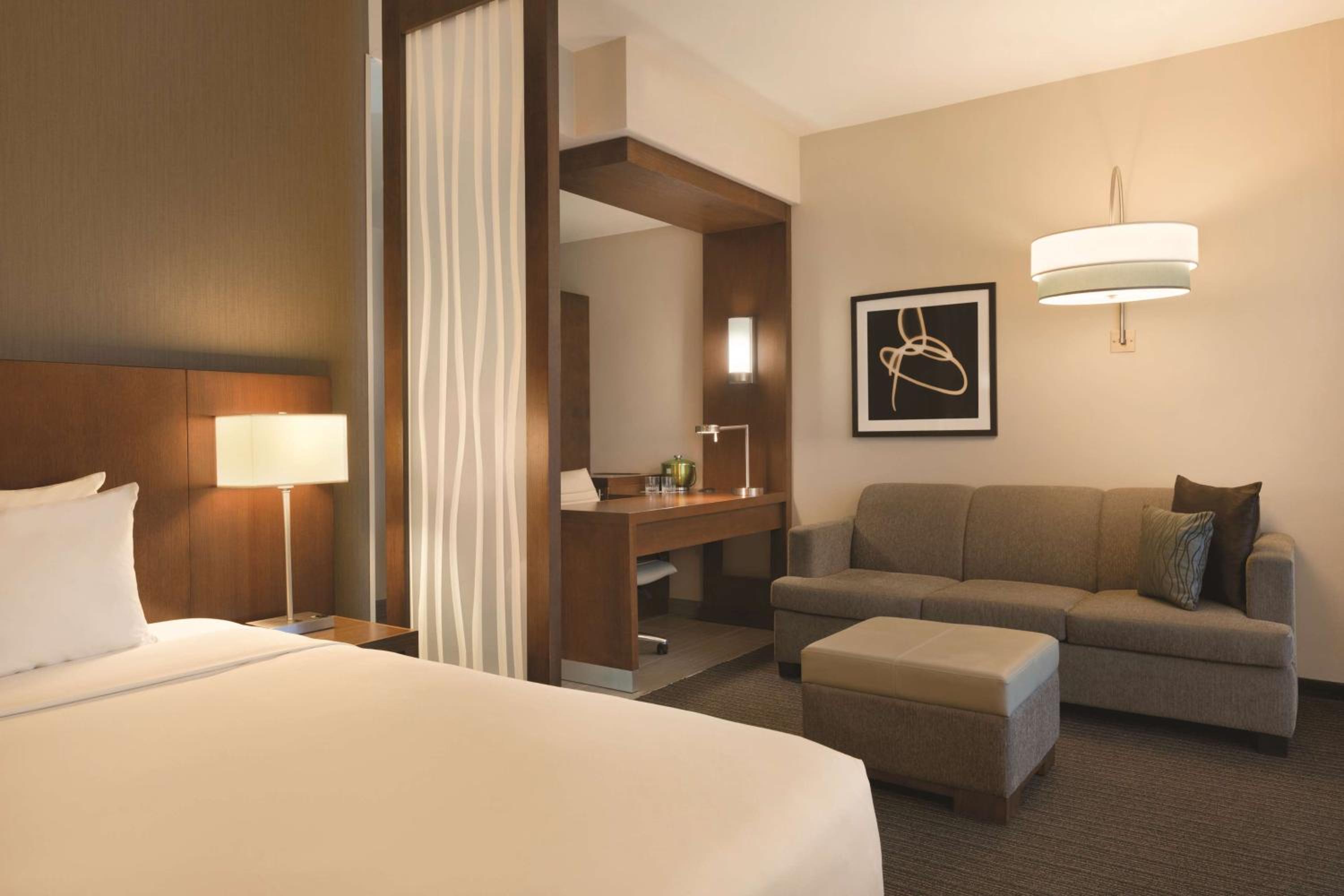 Large King Room with Sofa Bed - Photo 7