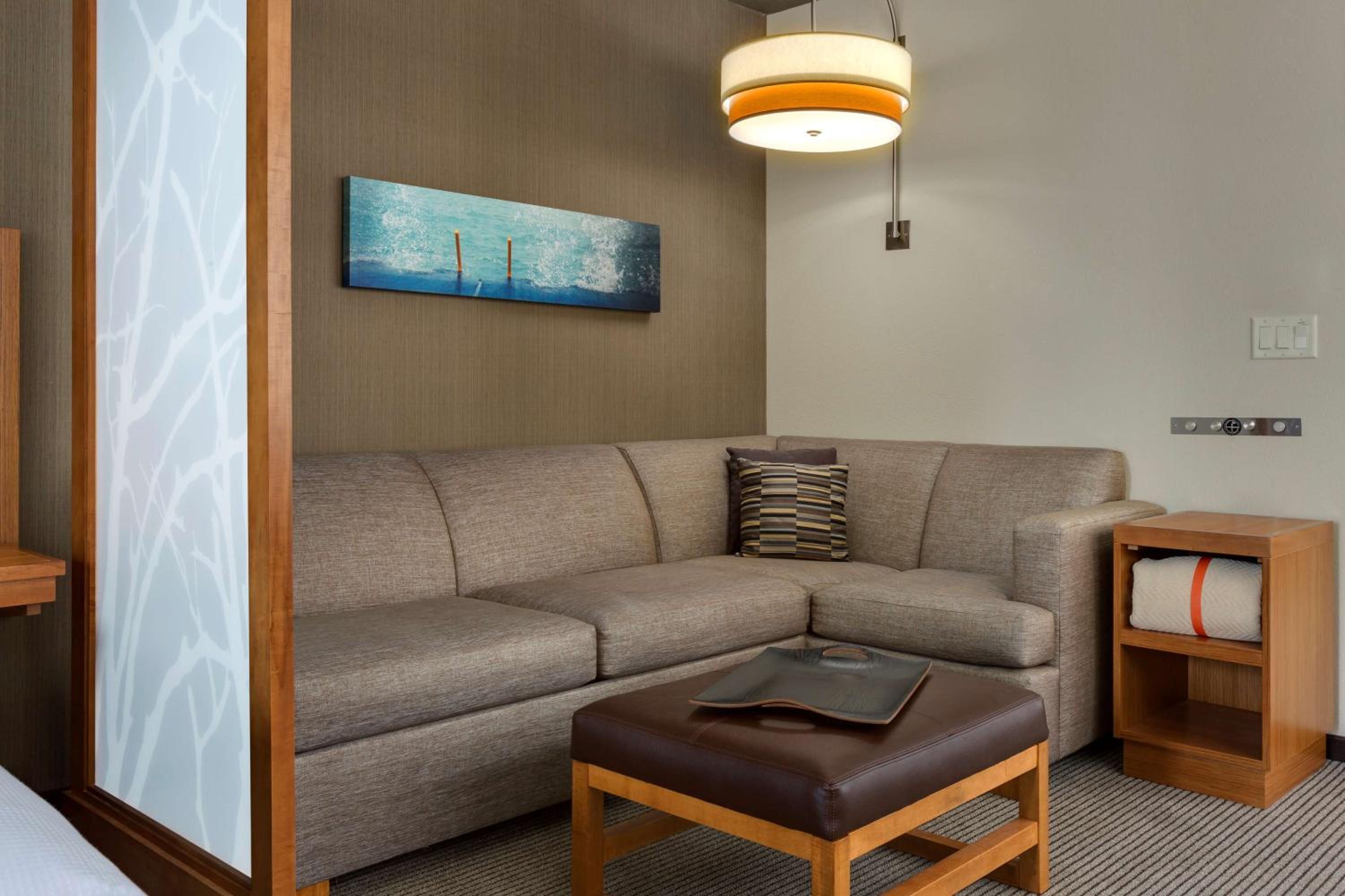 Specialty King Room with Sofa Bed thumbnail 5