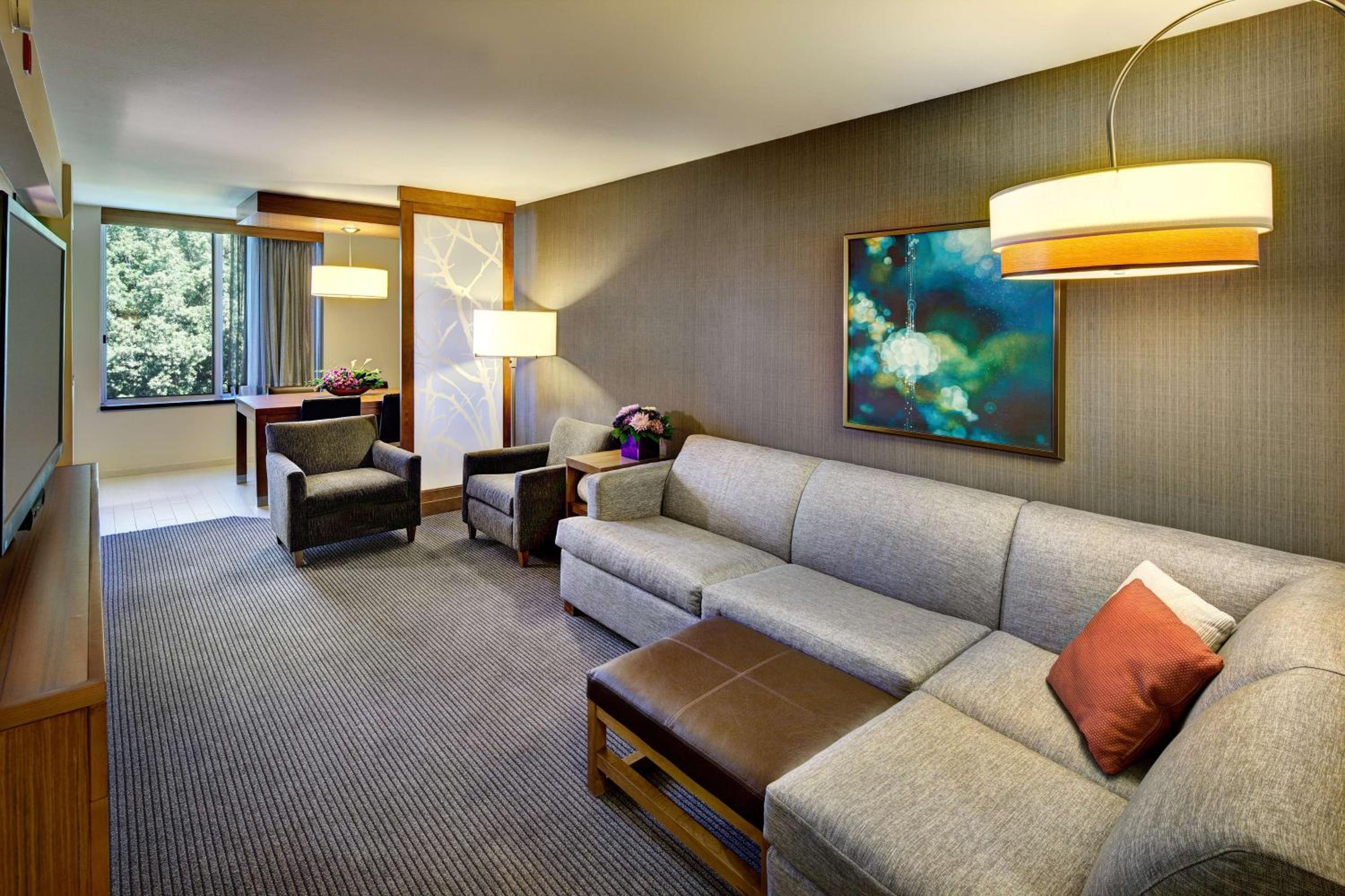 One-Bedroom King Suite with Sofa Bed - Photo 3