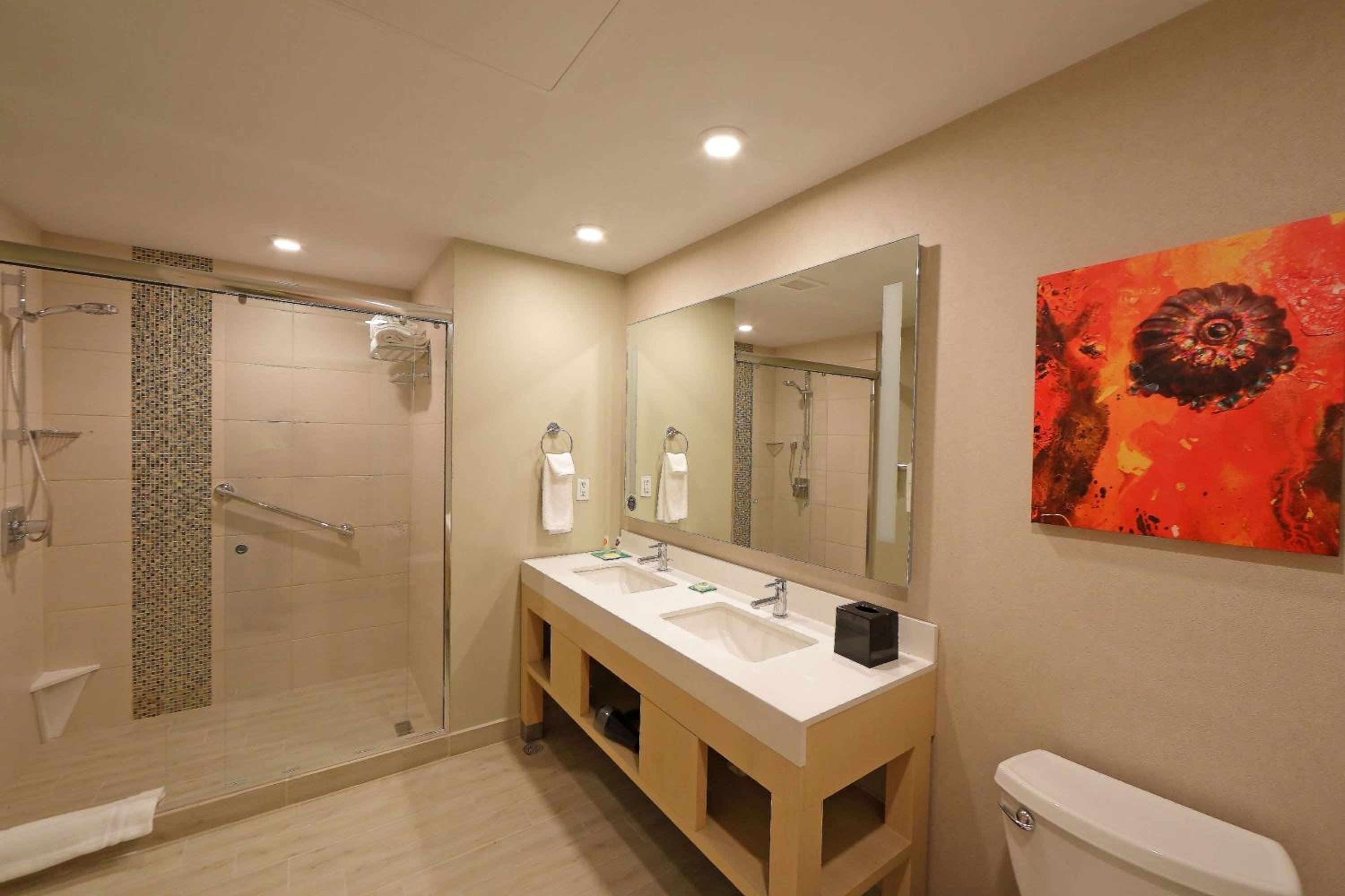 One-Bedroom King Suite with Sofa Bed photo 3