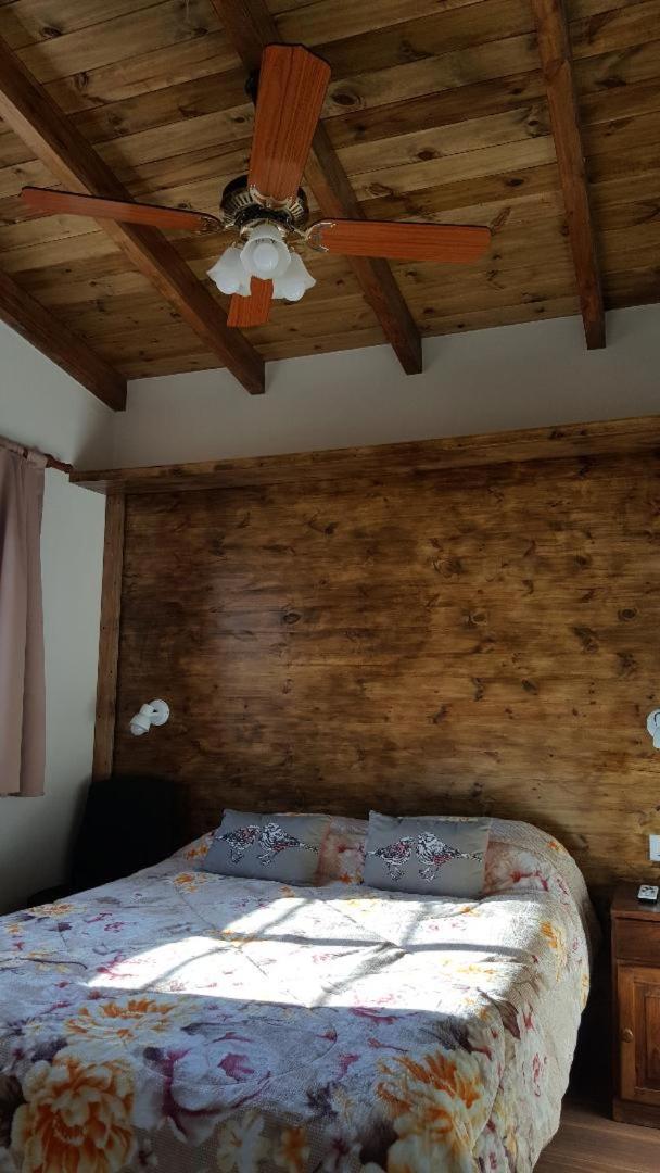 One-Bedroom House photo 1