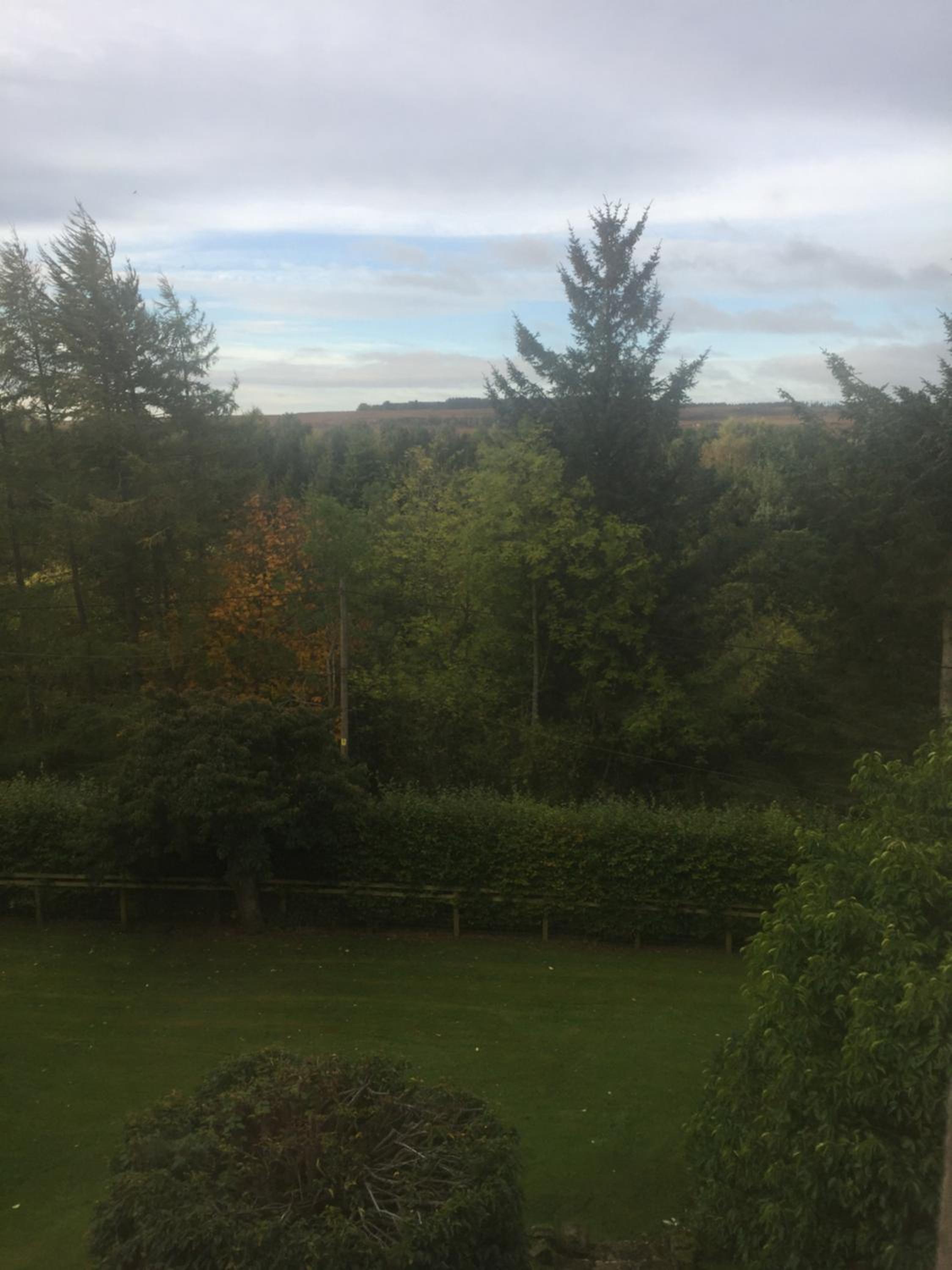 King Room with Garden View photo 3
