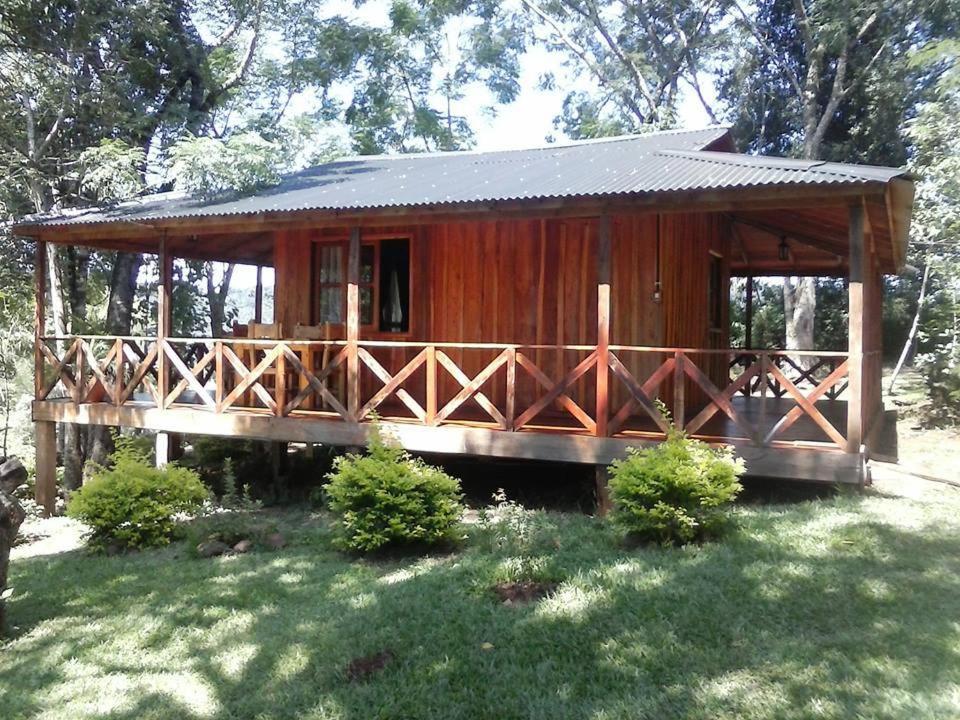 Family Bungalow photo 3