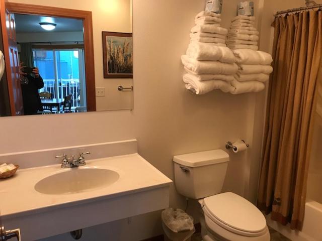 Studio Apartment photo 2