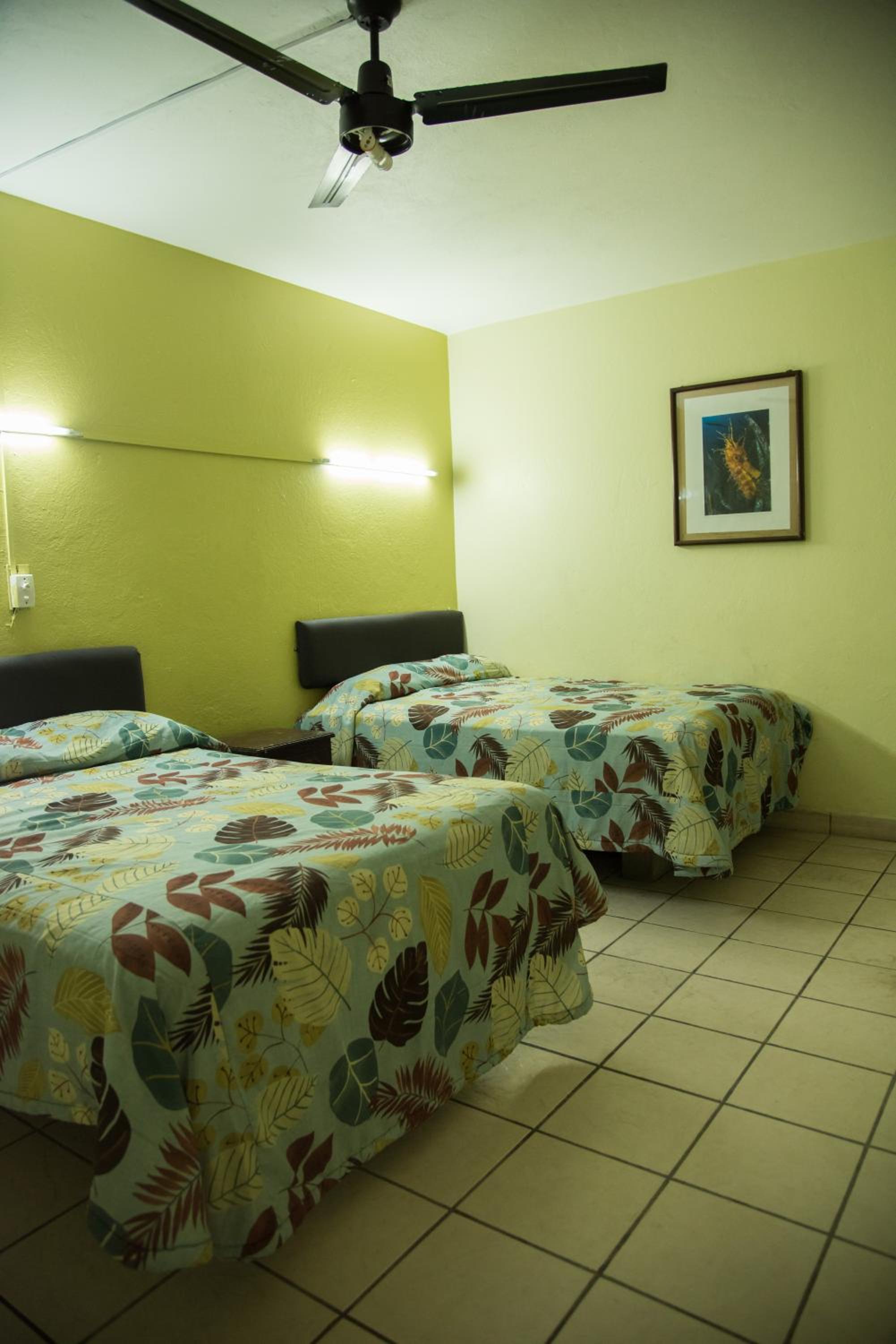 Twin Room photo 2