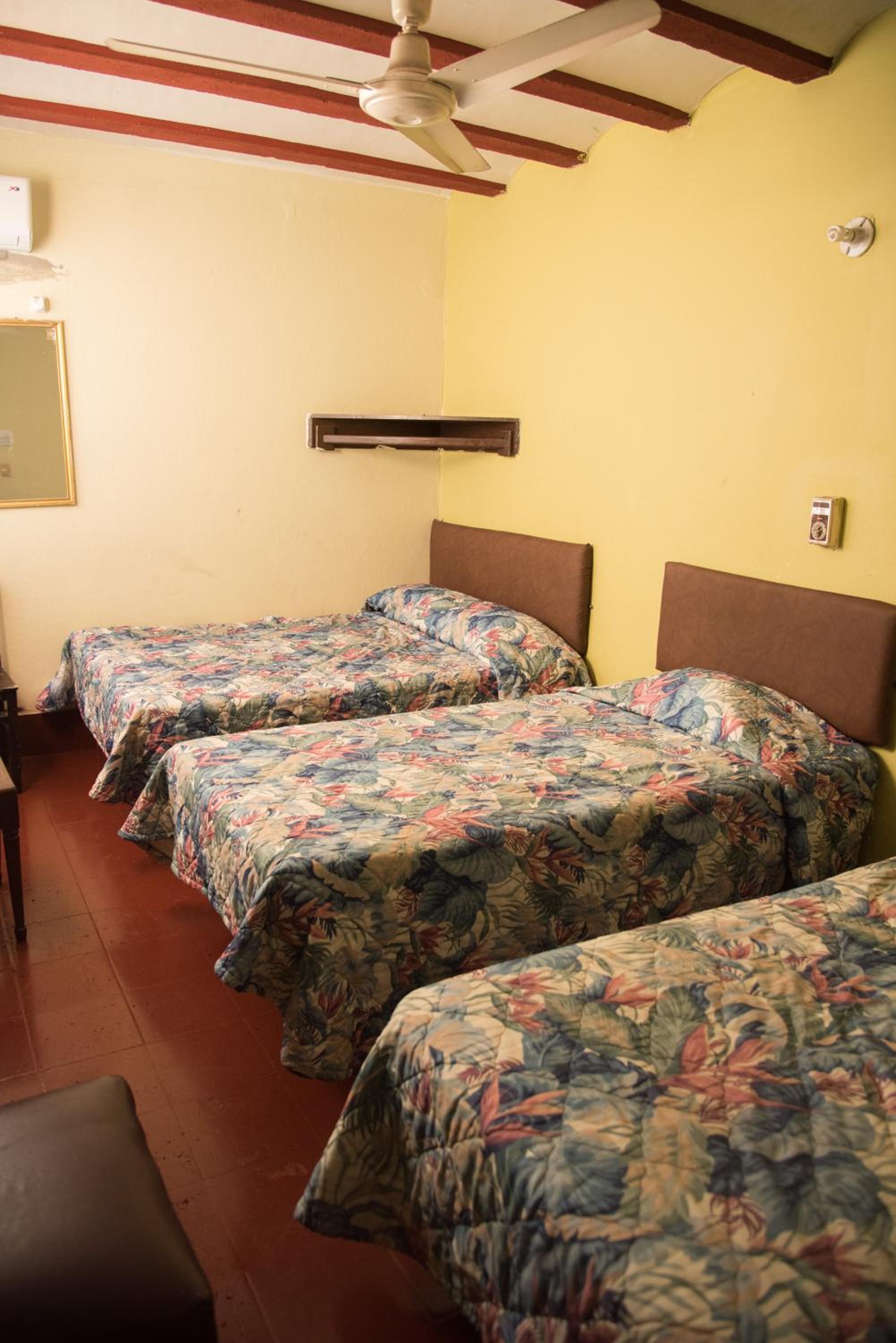 Basic Triple Room photo 1