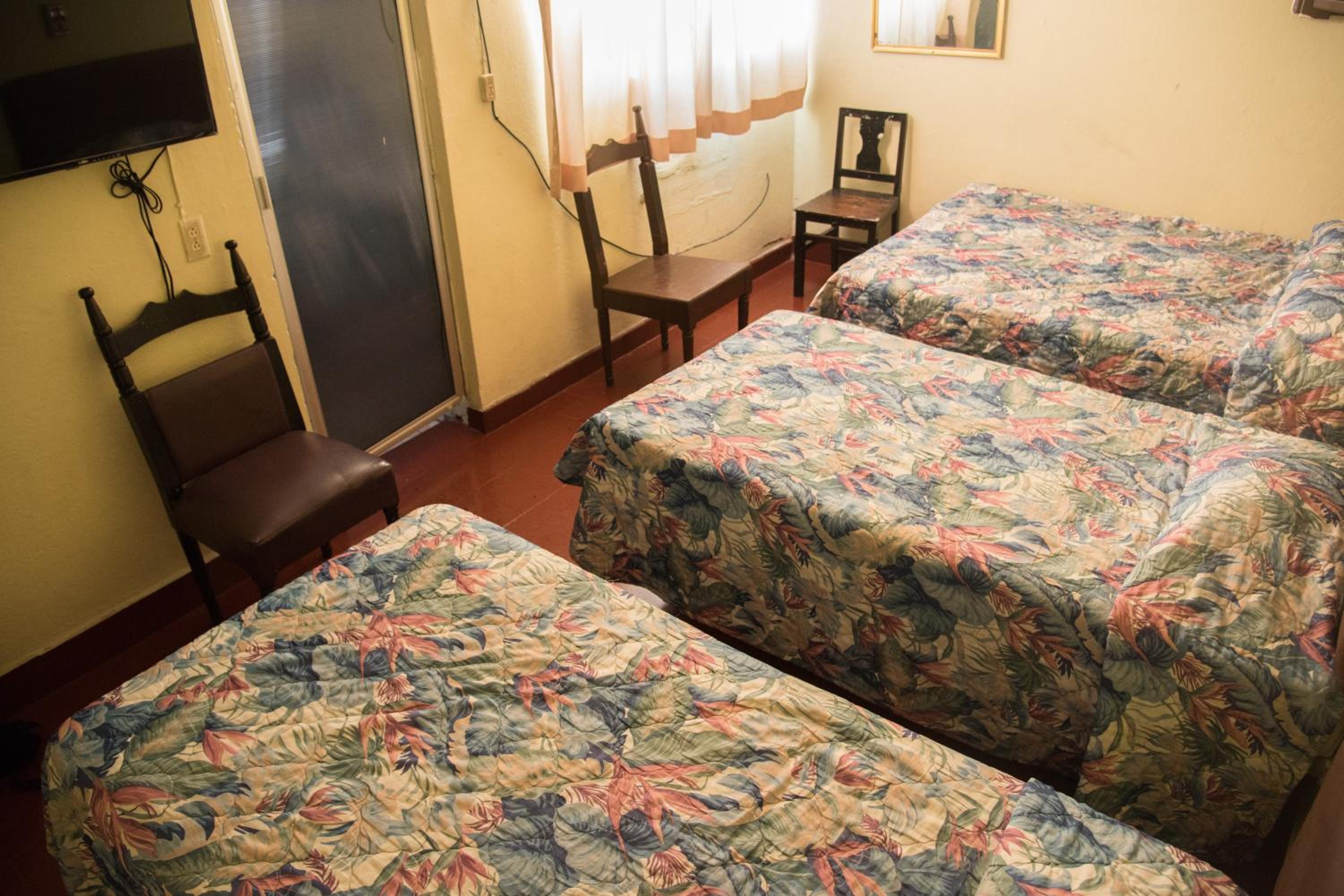 Basic Triple Room photo 3