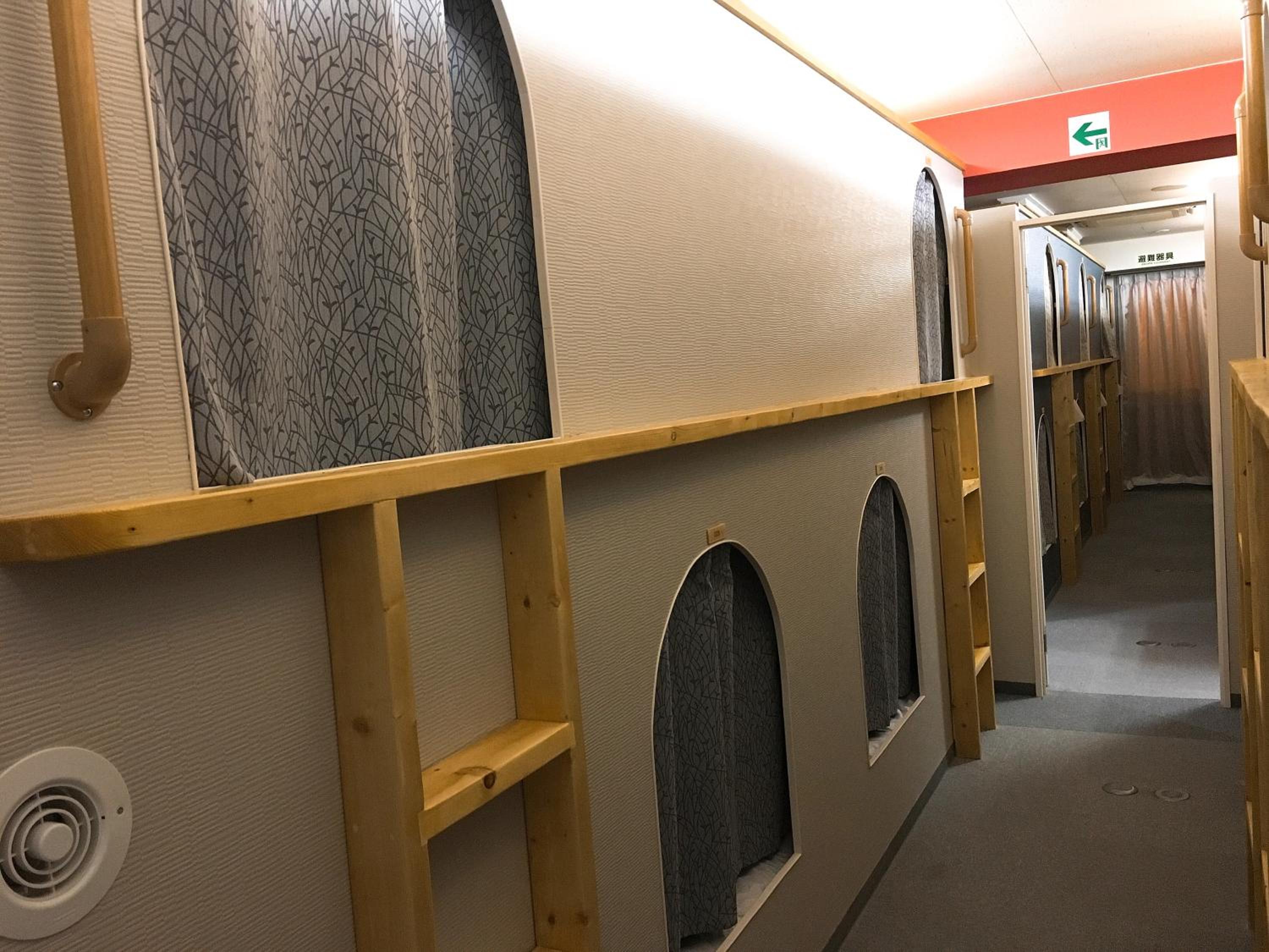 Bunk Bed In Mixed Dormitory Room photo 1