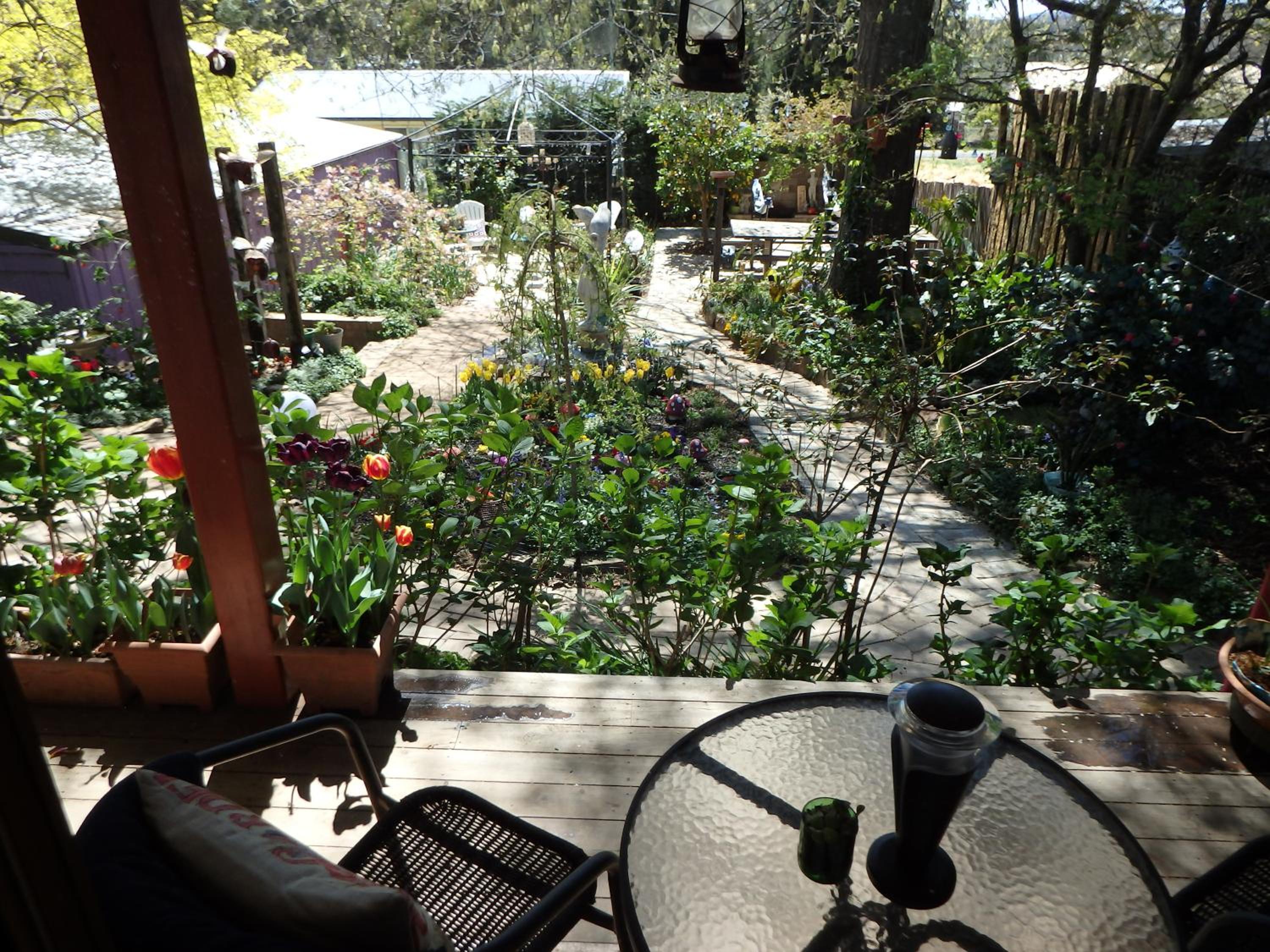 Wisteria King Suite photo 2
