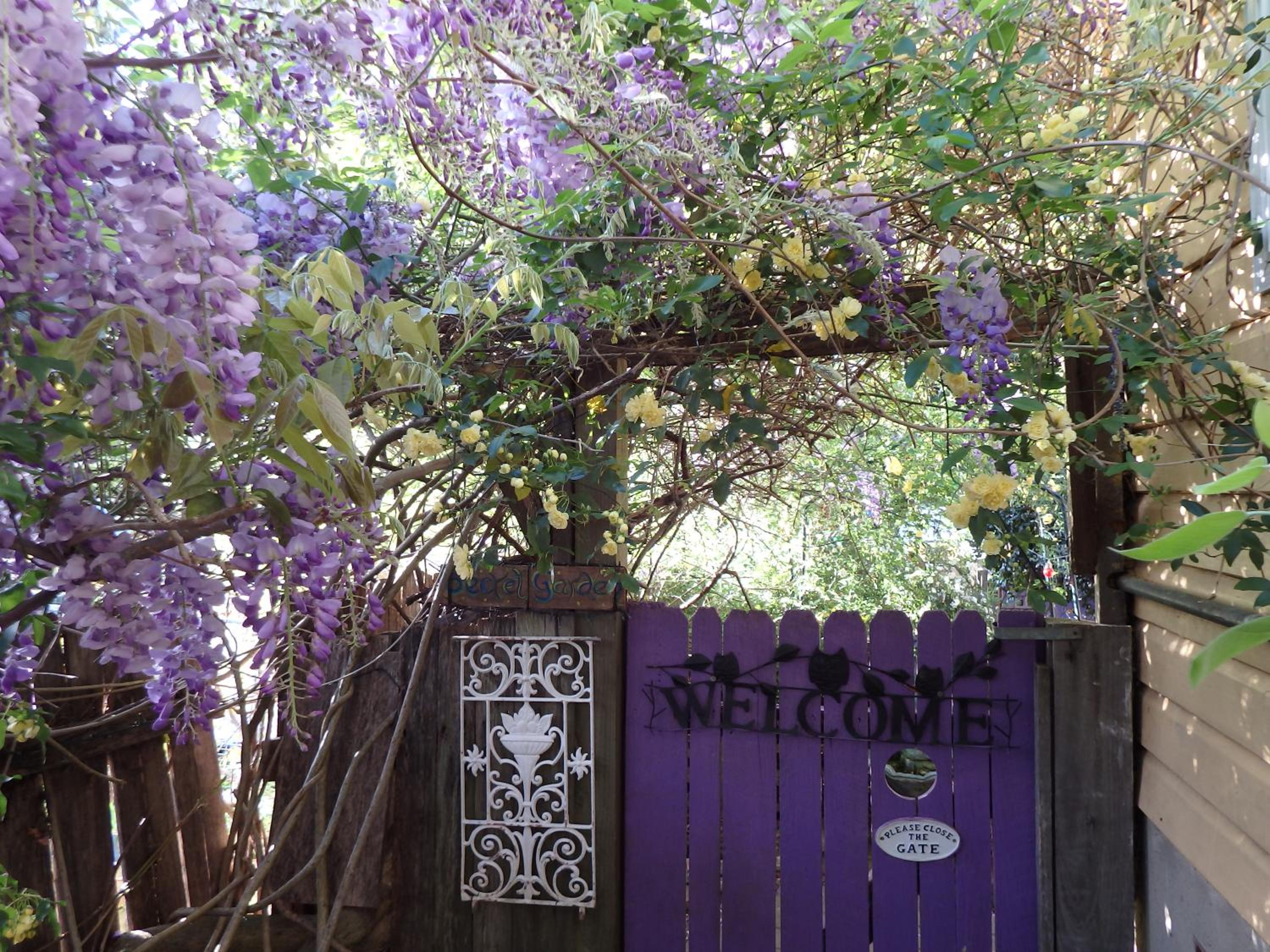 Wisteria King Suite photo 3