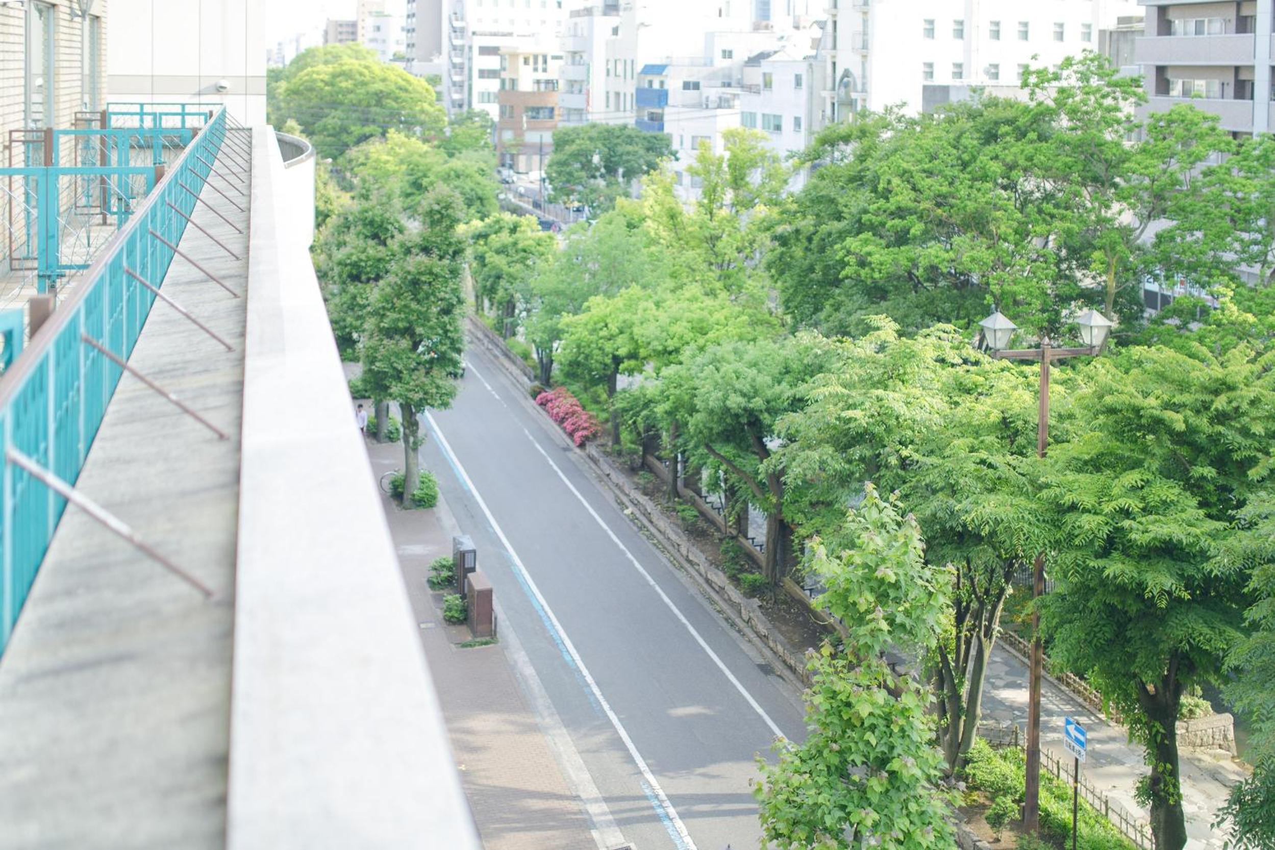 Twin Room with Park View - Non-Smoking - Photo 5