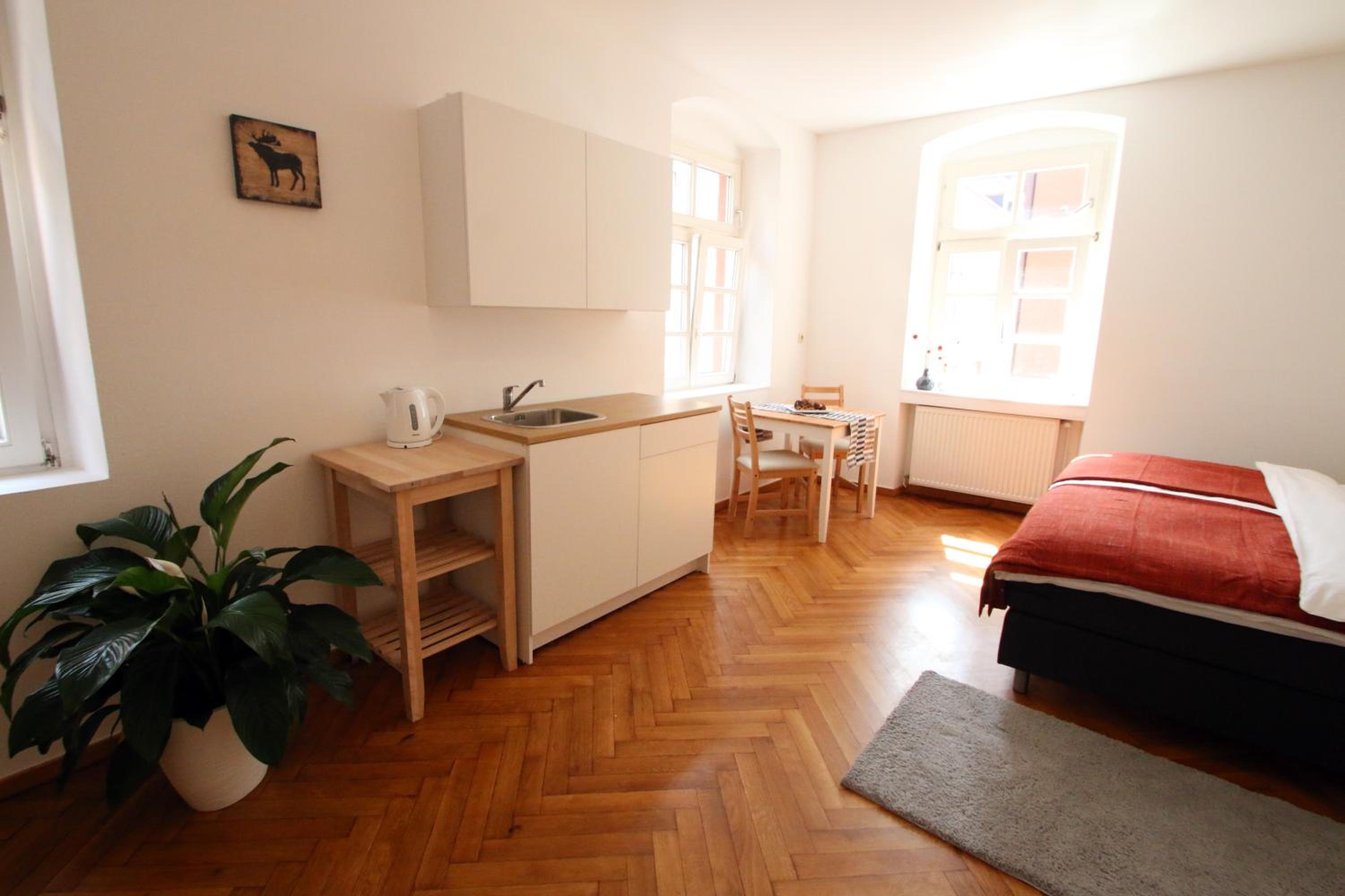 Studio Apartment with Kingsize Bed (annex) 1.OG - Photo 5