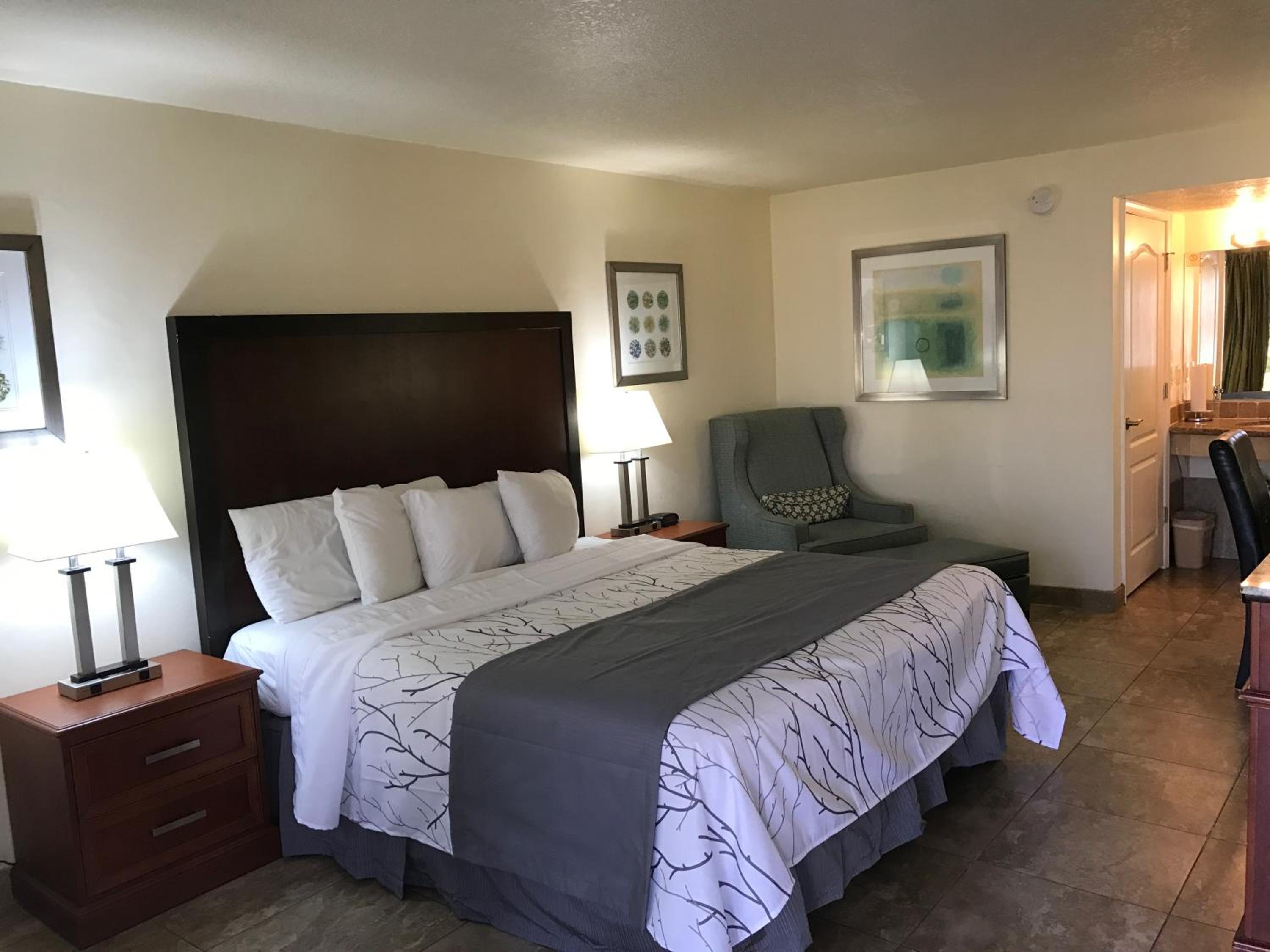 King Room photo 3