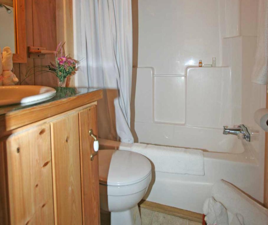 Two-Bedroom Premium Cottage photo 3