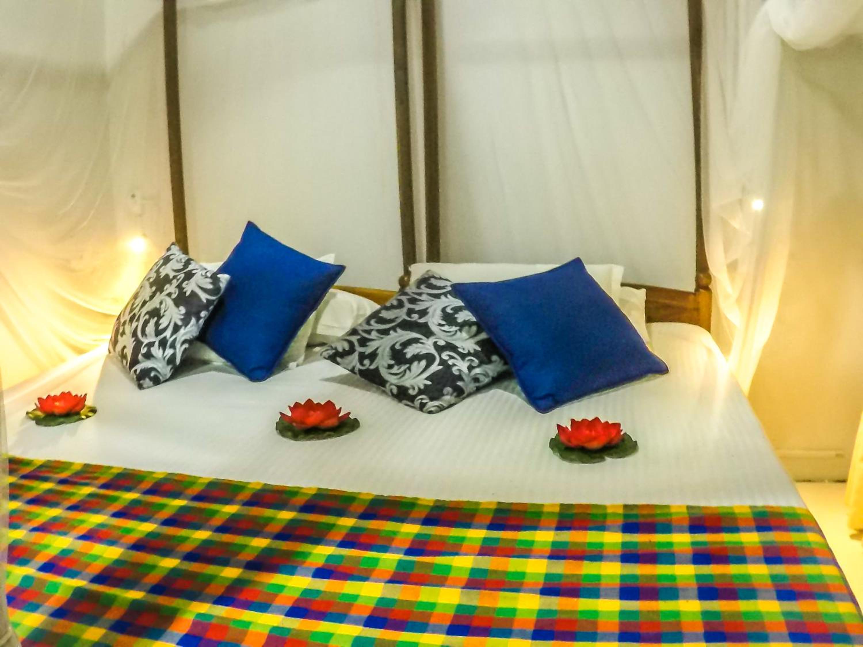 Double or Twin Room photo 2