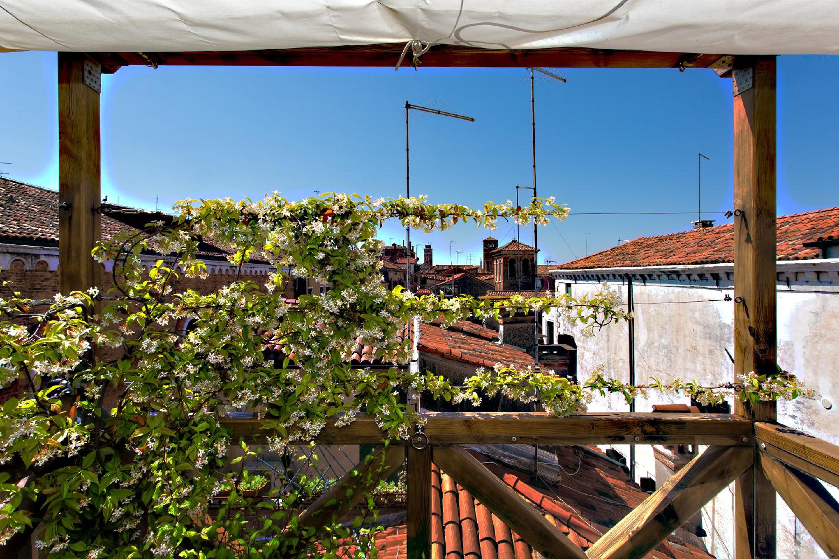 Junior Suite with Terrace photo 2