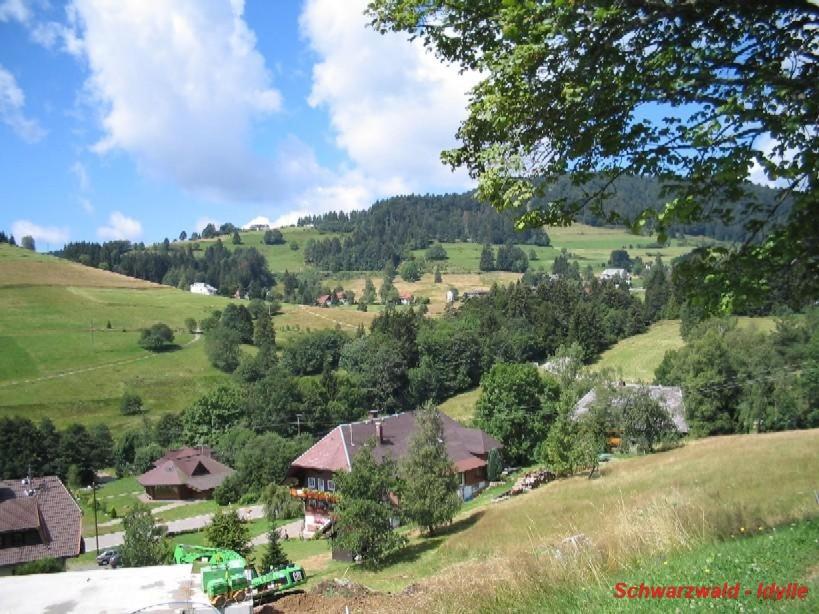 Apartment with Mountain View photo 2