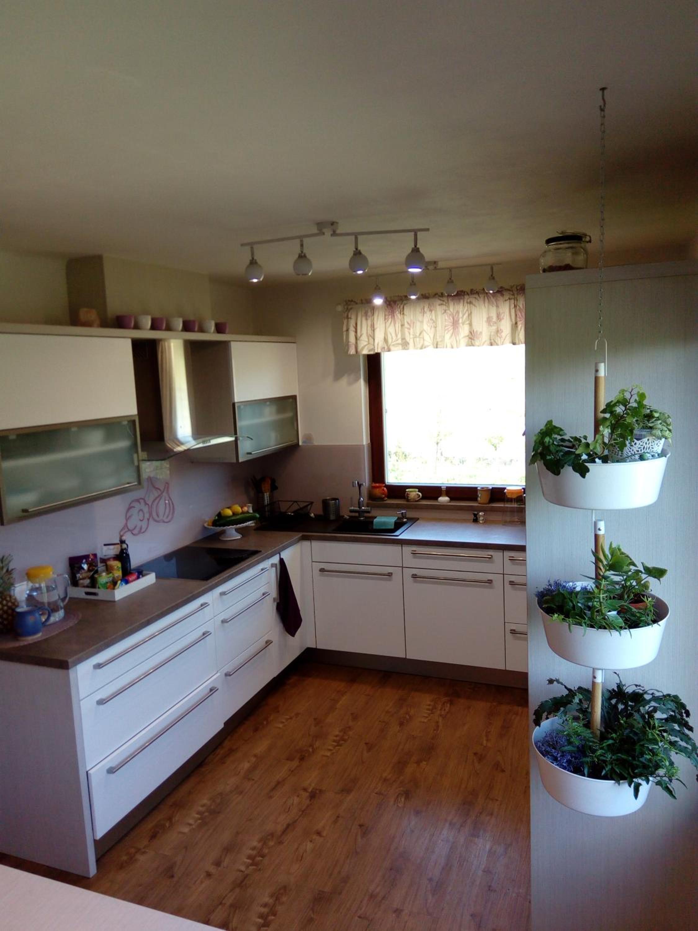 Family Room - Photo 10