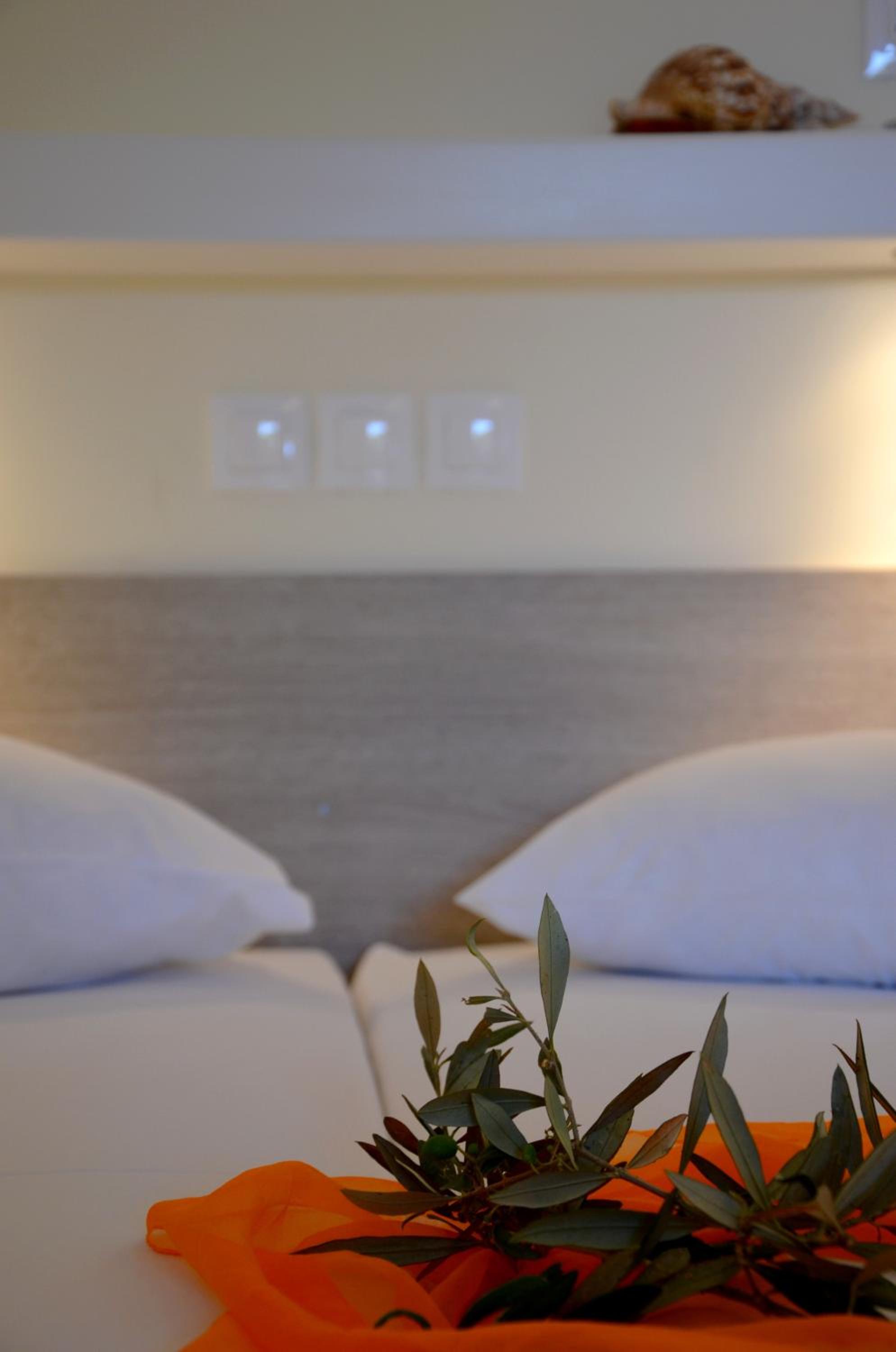 Deluxe Double Room (2 Adults + 1 Child) photo 2