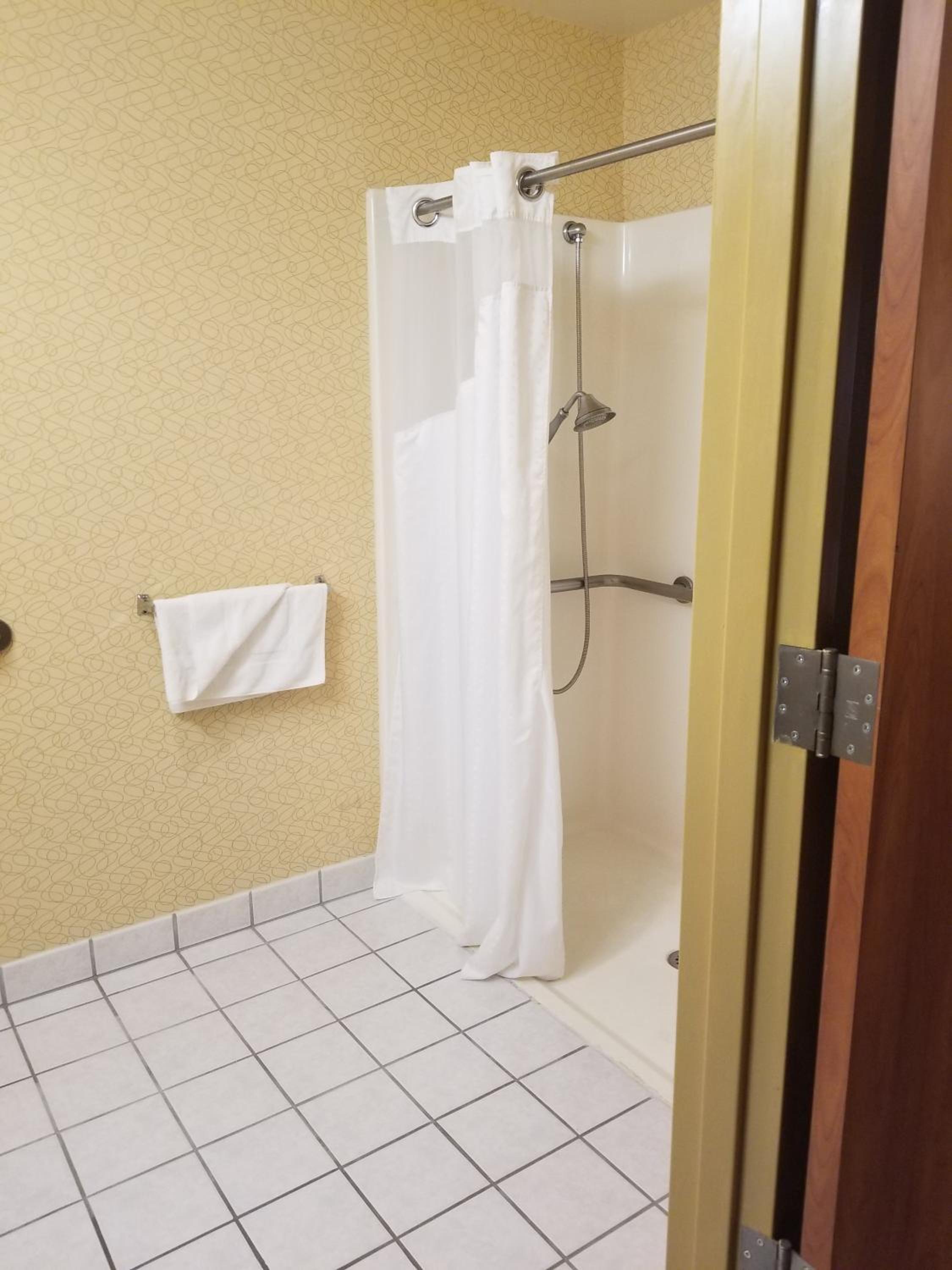 King Room with Roll-in Shower - Mobility Access/Non-Smoking - Photo 3