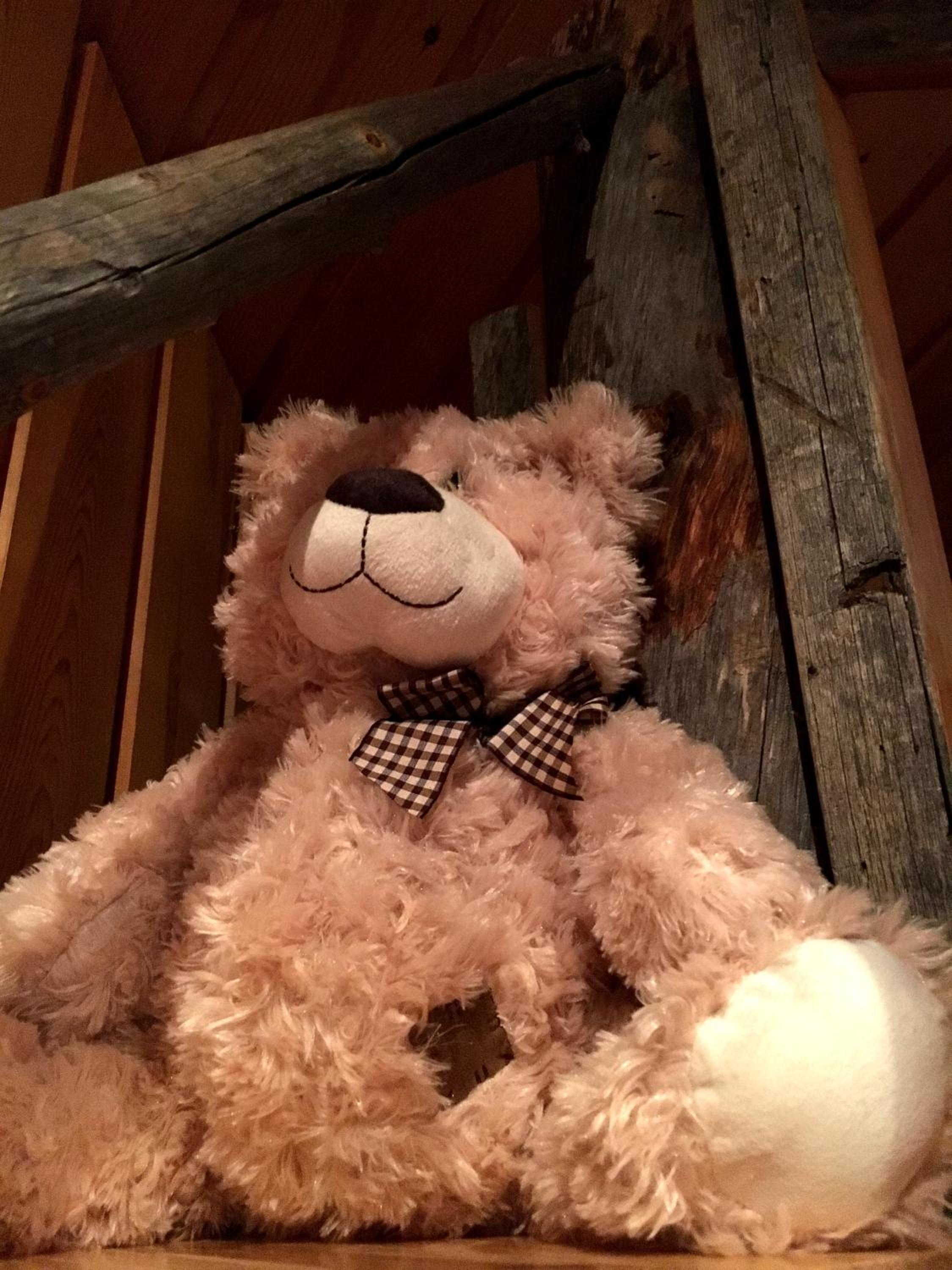 Chalet - Photo 34