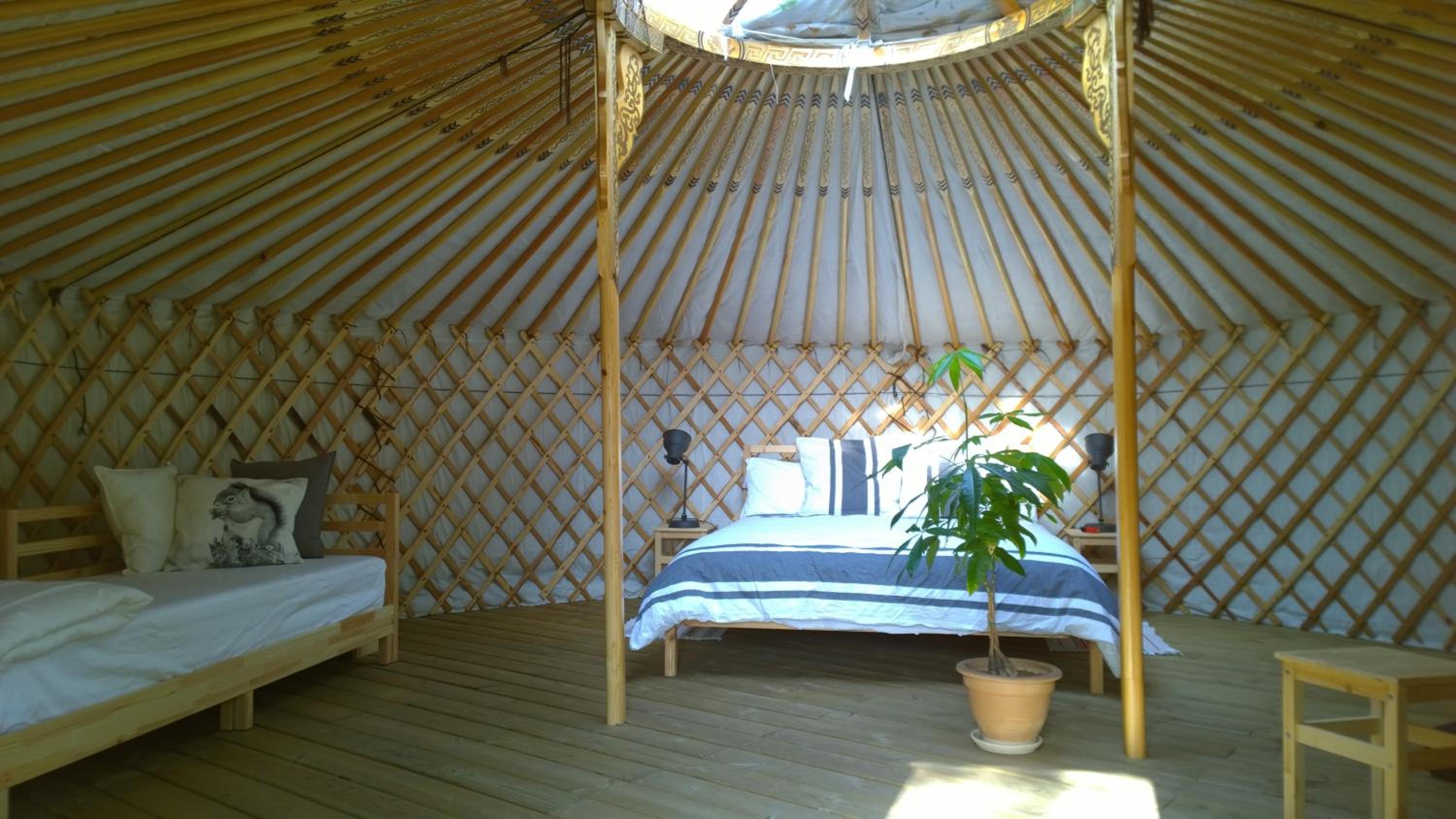 Yurt photo 3