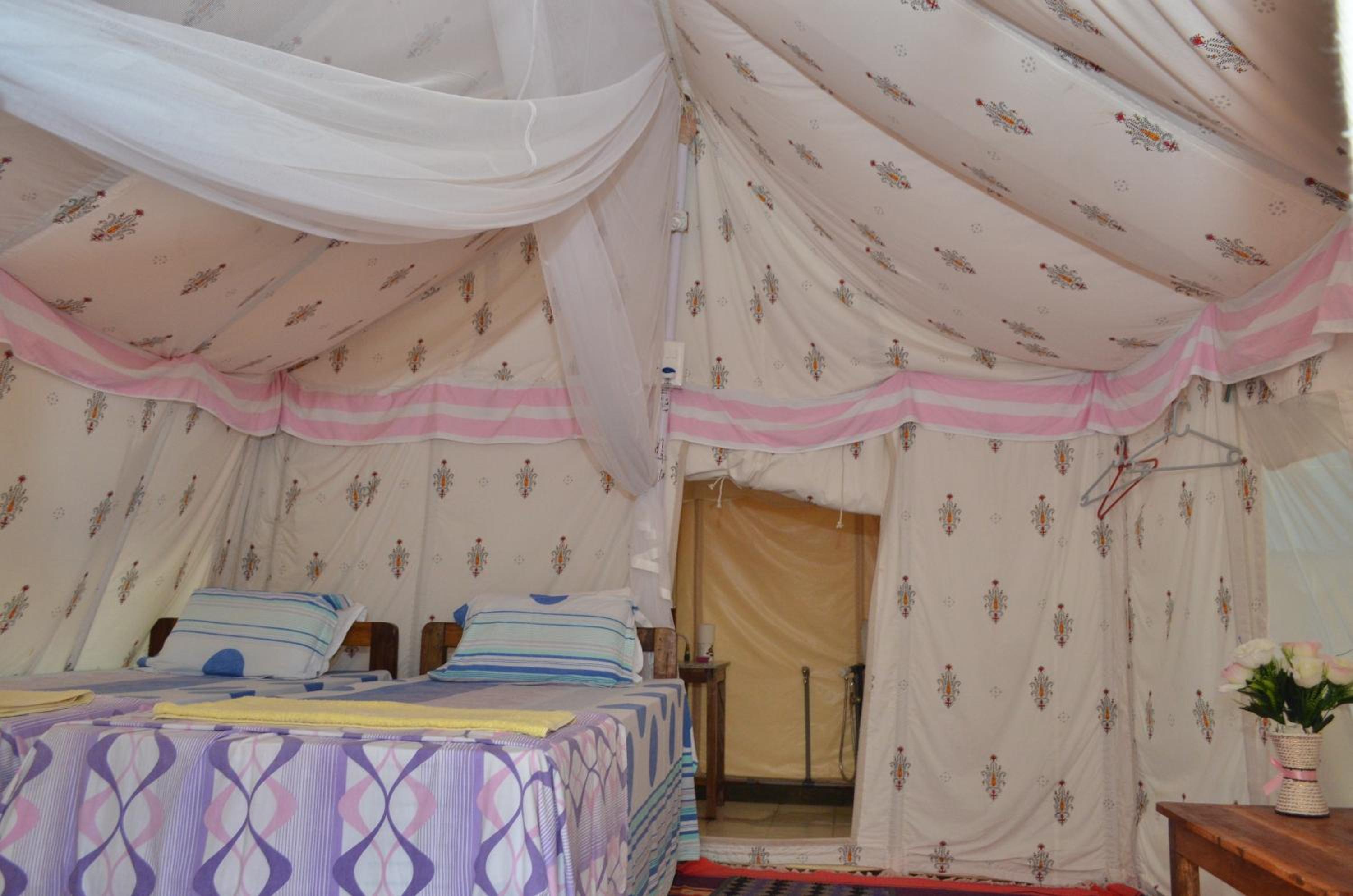 Tent photo 3
