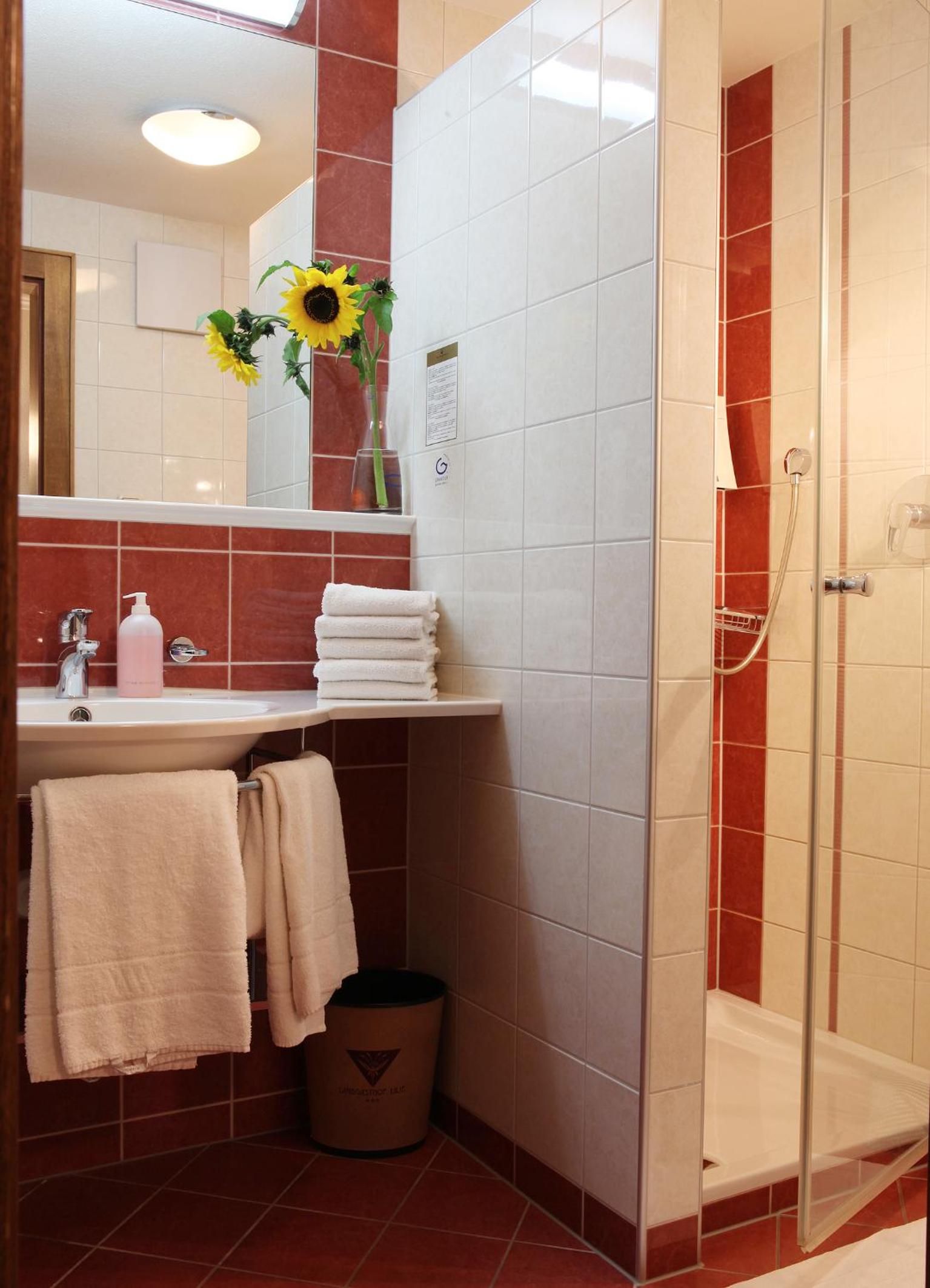 Standard Double Room - Photo 7