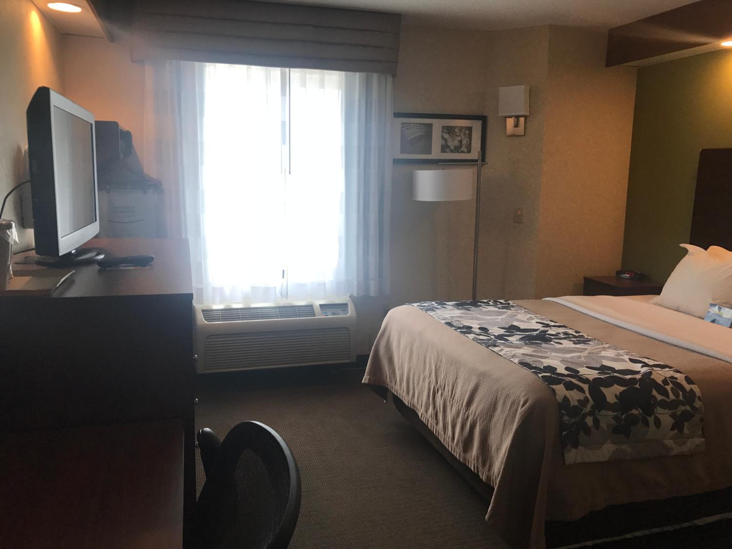Queen Room - Non-Smoking - Photo 4