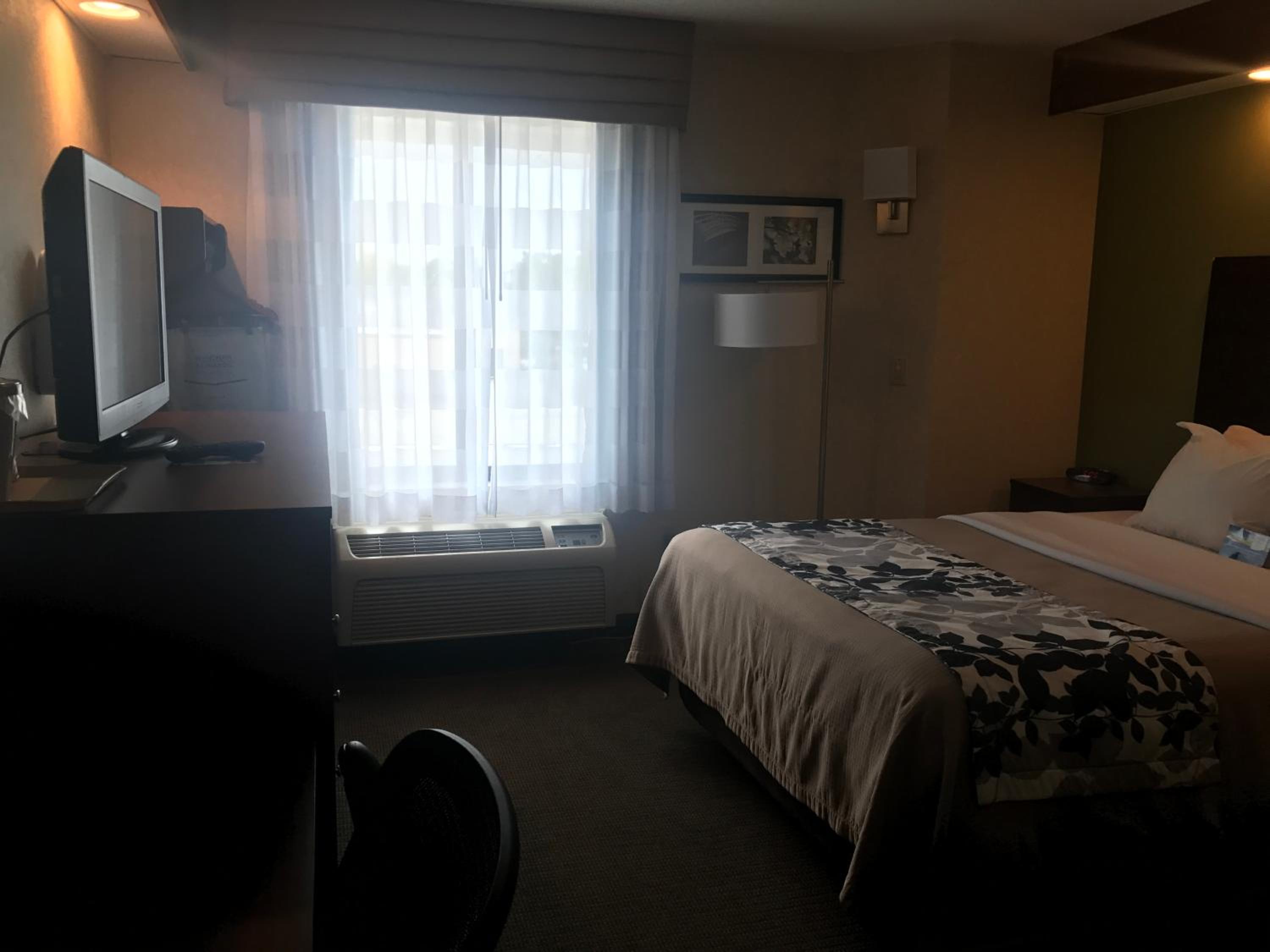 Queen Room - Mobility Access/Non-Smoking - Photo 4