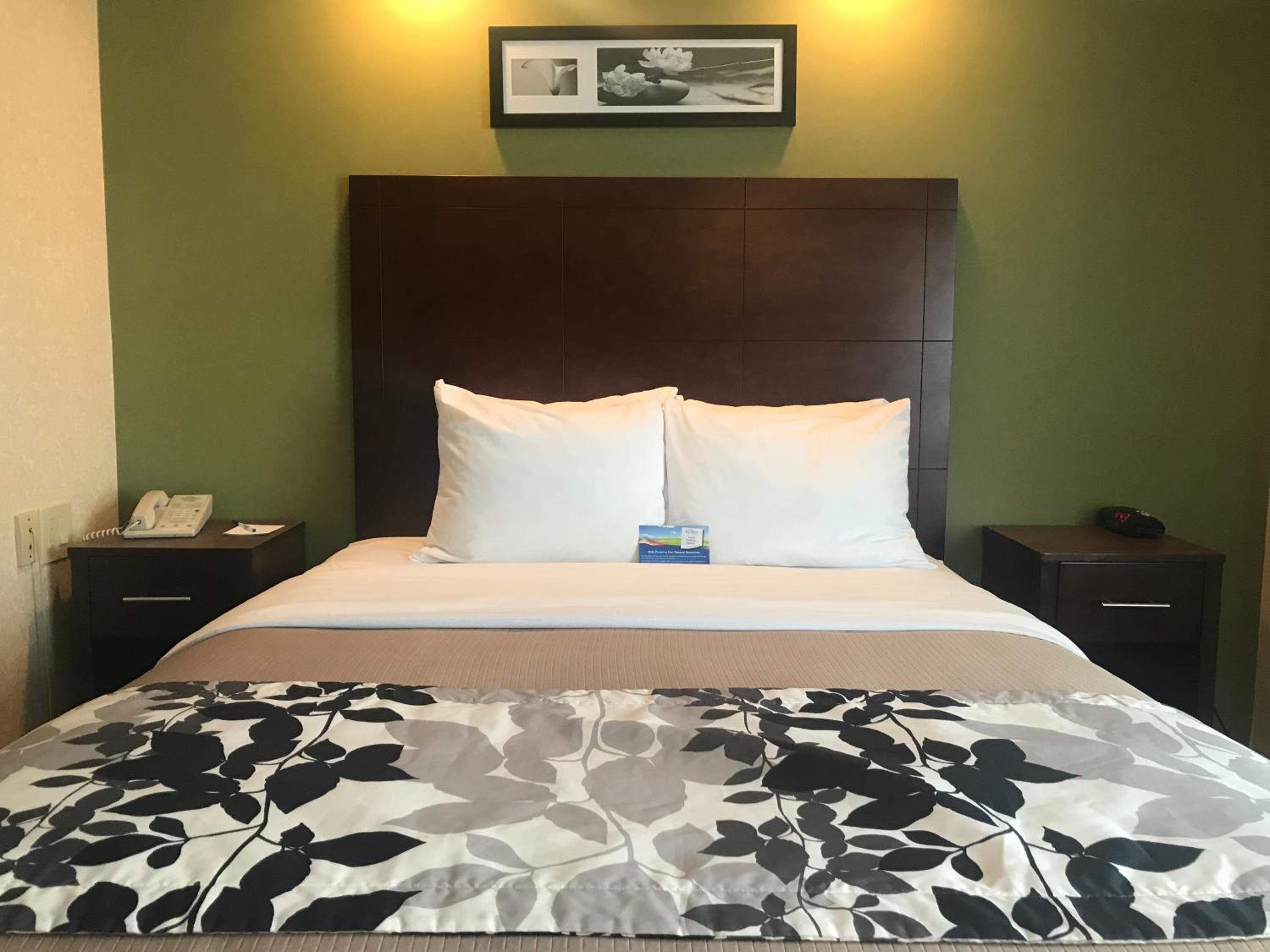 Studio Suite with a Queen Bed, Non-Smoking - Photo 3