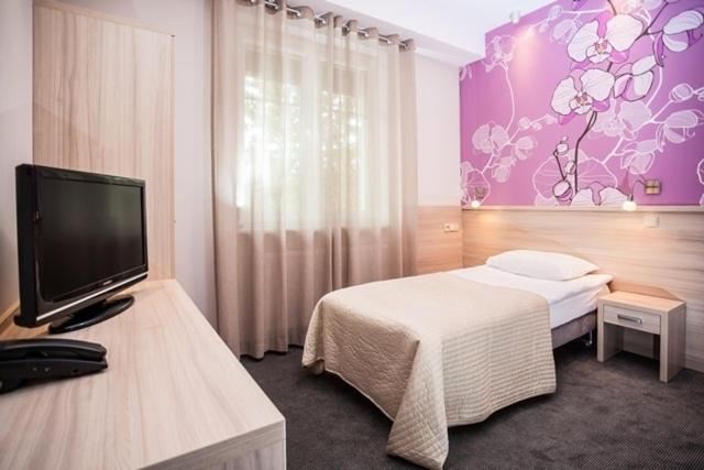 Single Room photo 1